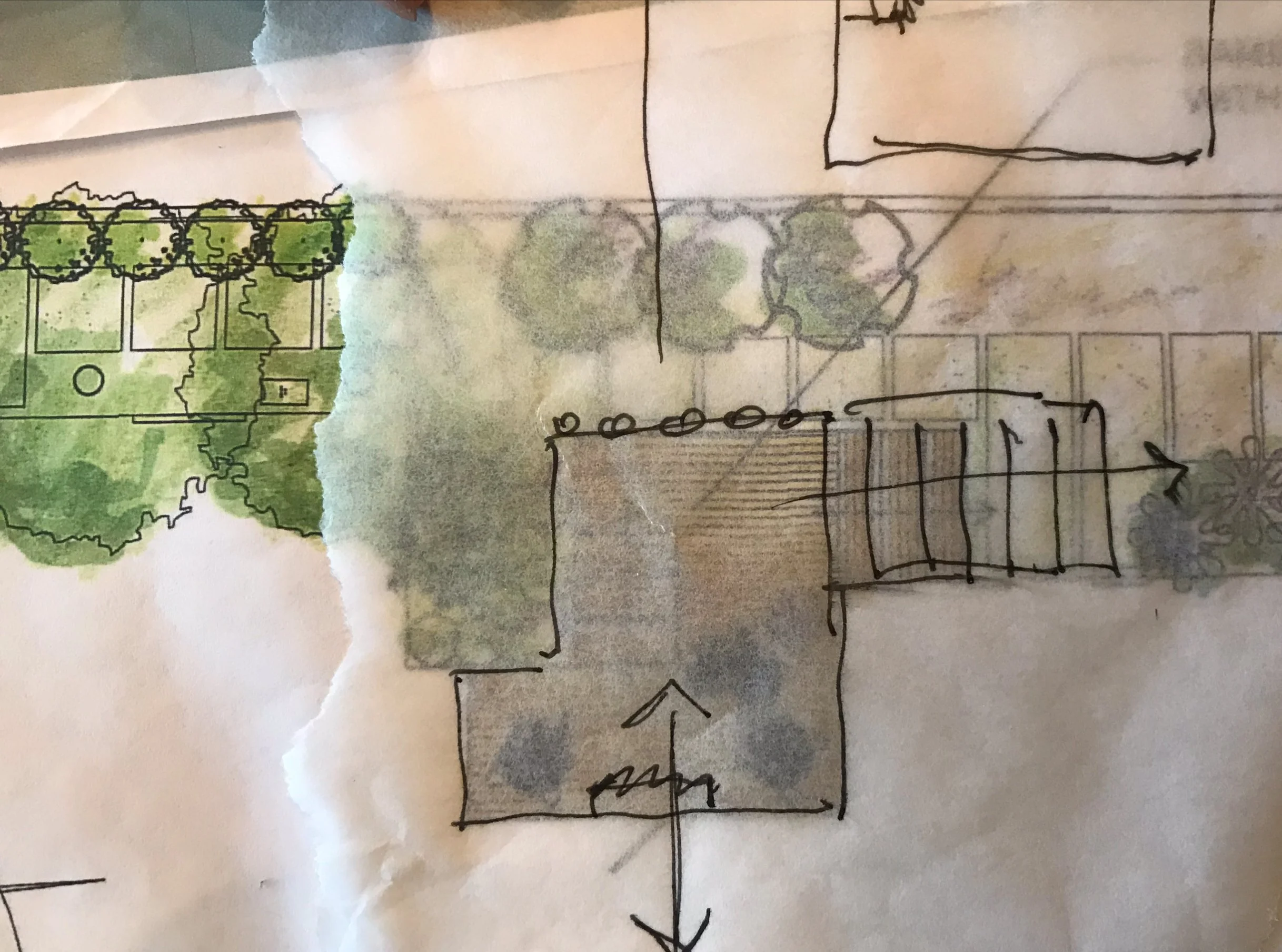 Custom Site Design