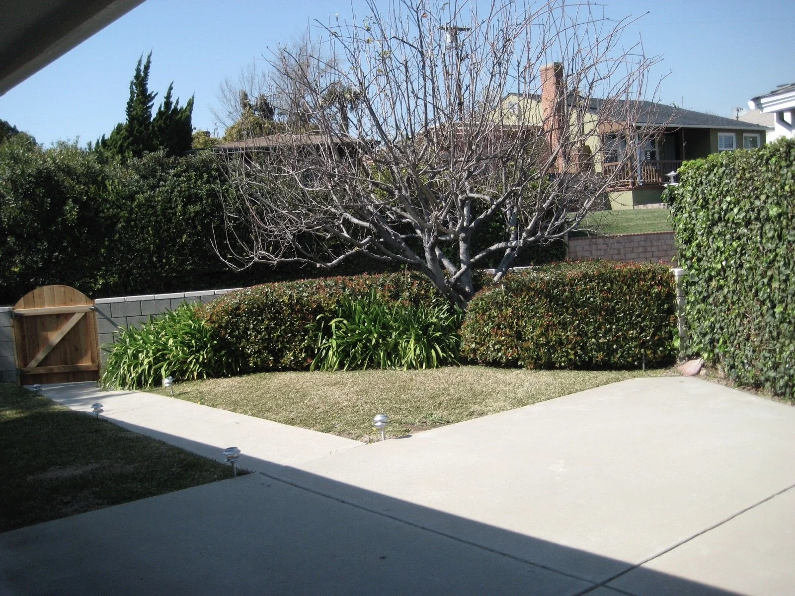 IMG_2473.jpeg