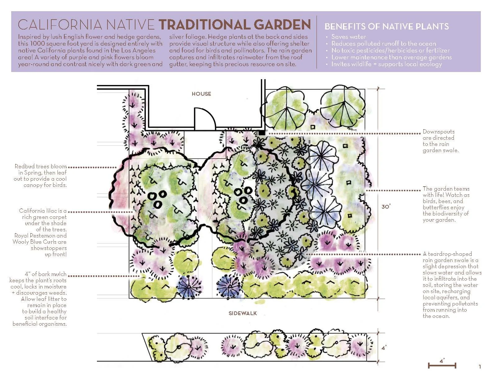 LADWP Native Plant Templates