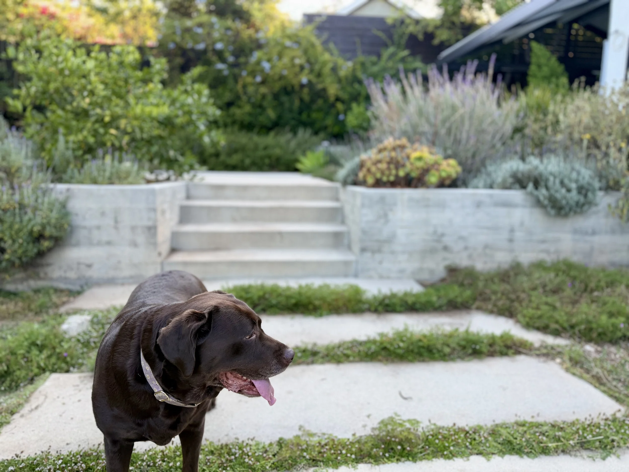 Glassell Park ll