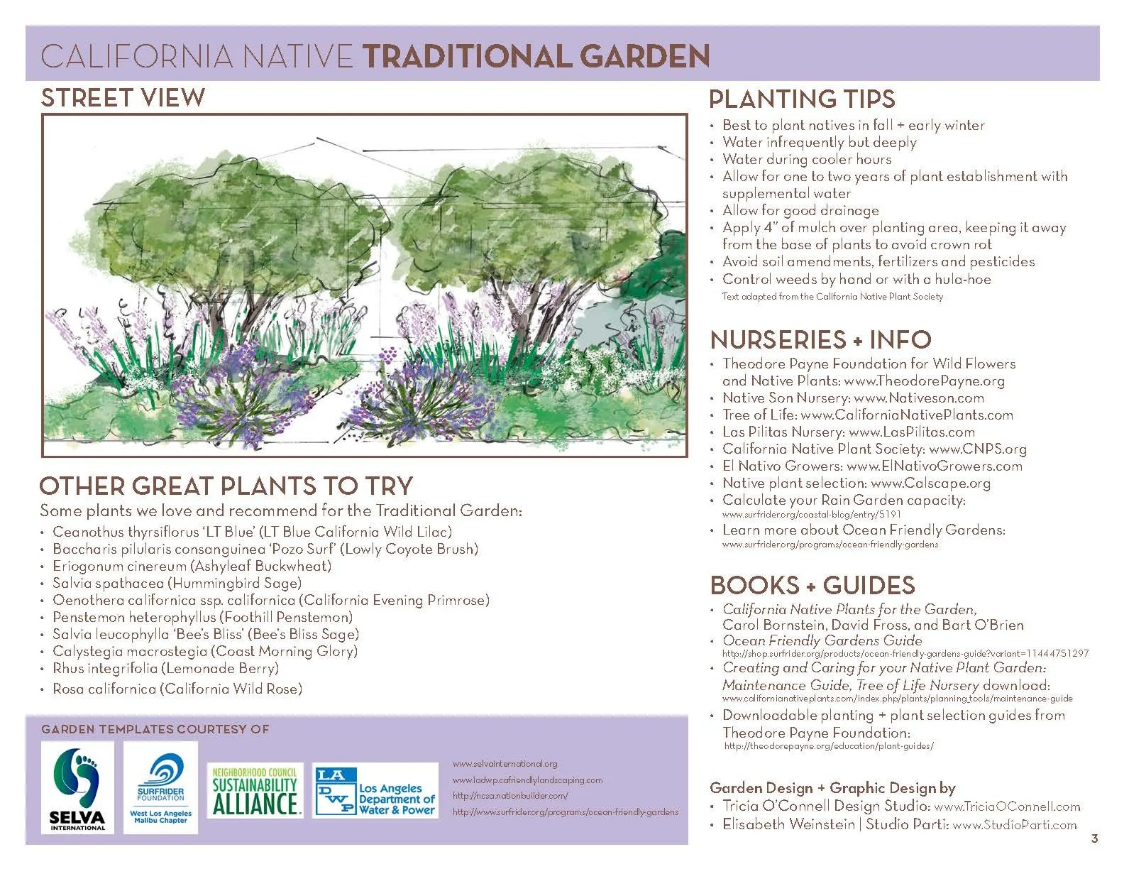 NATIVE PLAN SAMPLE TRADITIONAL final2_Page_3.jpeg
