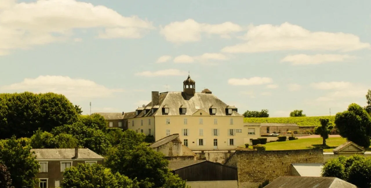 A historic castle with a slate roof and a central tower, surrounded by greenery and old houses, under a blue sky with a few clouds.
