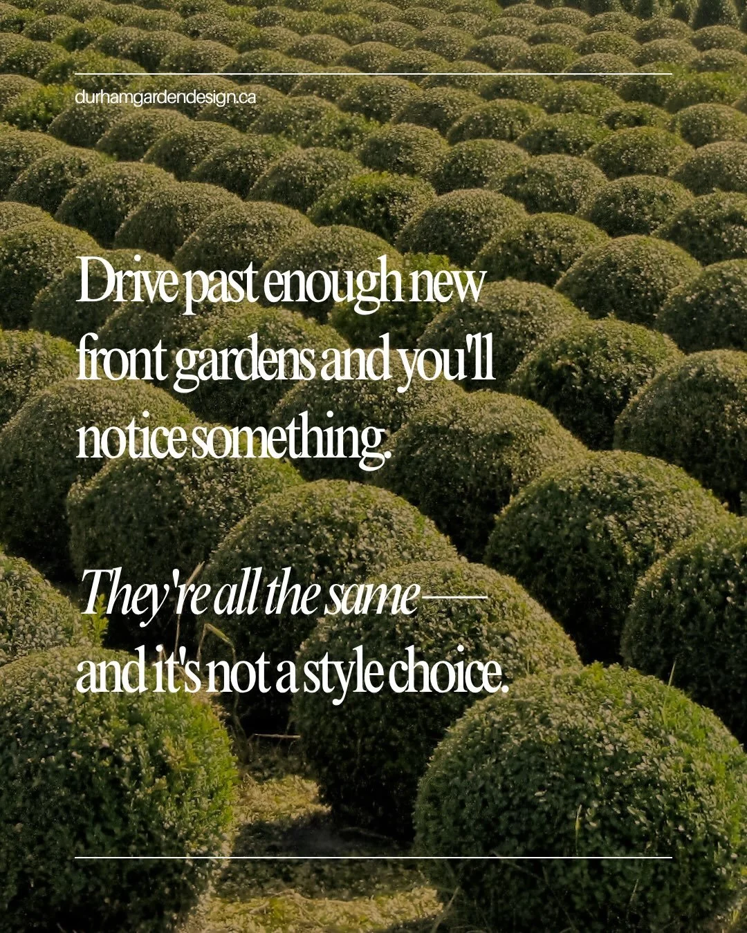 &ldquo;Oh heck, throw in a lily&rdquo; is not a design process &mdash; it&rsquo;s what happens when a planting plan gets filled instead of chosen.

If you can guess the plant list before you see the house, it probably wasn&rsquo;t designed for the ho