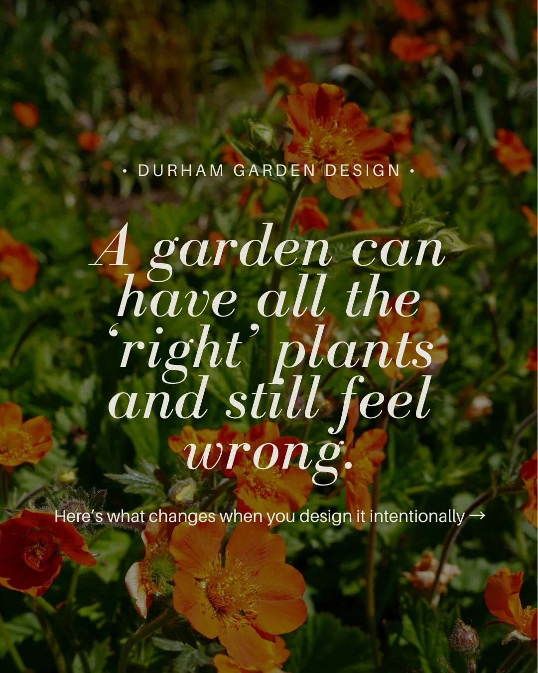 A garden can have all the right plants and still feel wrong.

That's because a garden isn't a collection of beautiful plants &mdash; it's a plan. Where things belong, how they'll grow together, what you'll see from the kitchen window, how it all look