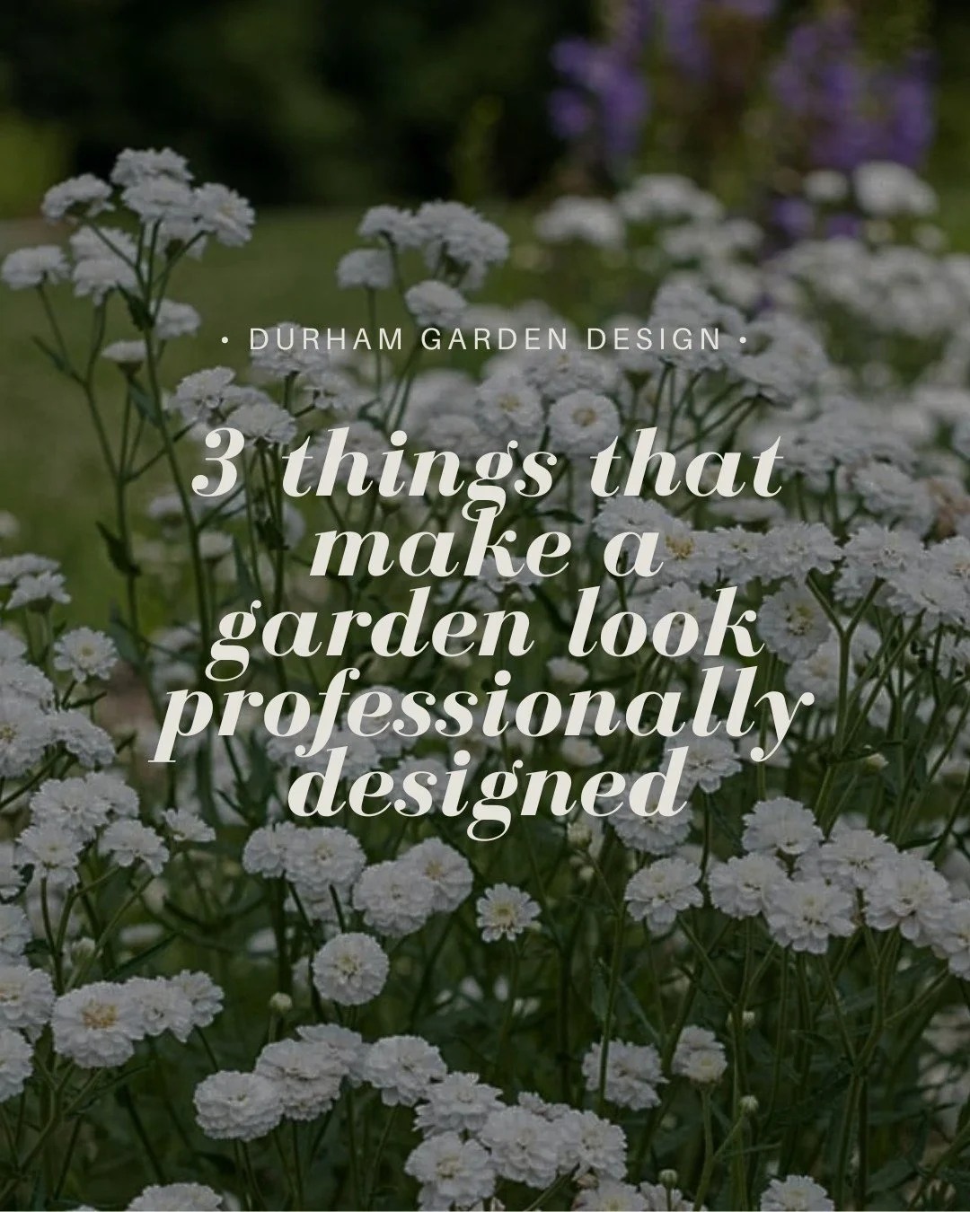 A beautiful garden isn't just about flowers. It's about structure that carries it through every season, the contrast in foliage that makes a planting feel interesting, and giving plants enough room to create those lush, layered borders we all love.