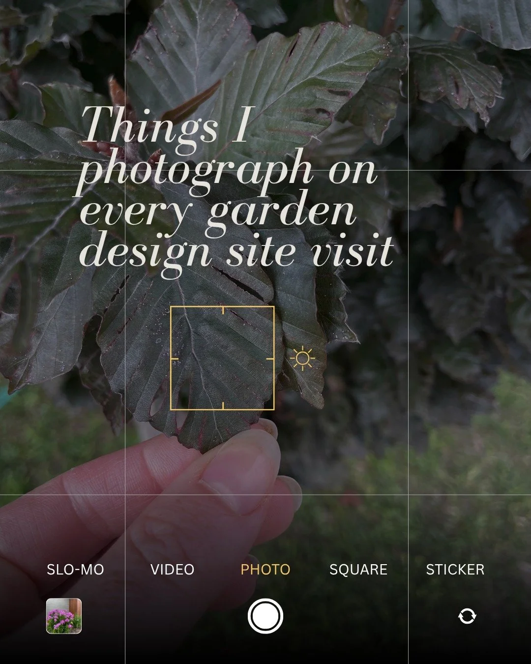 Somewhere between running a garden design business and taking approximately 4,000 photos of every property I visit, I am in a constant battle with my iPhone storage. 🫠

Are these photos going to win any National Geographic awards? Absolutely not.

A