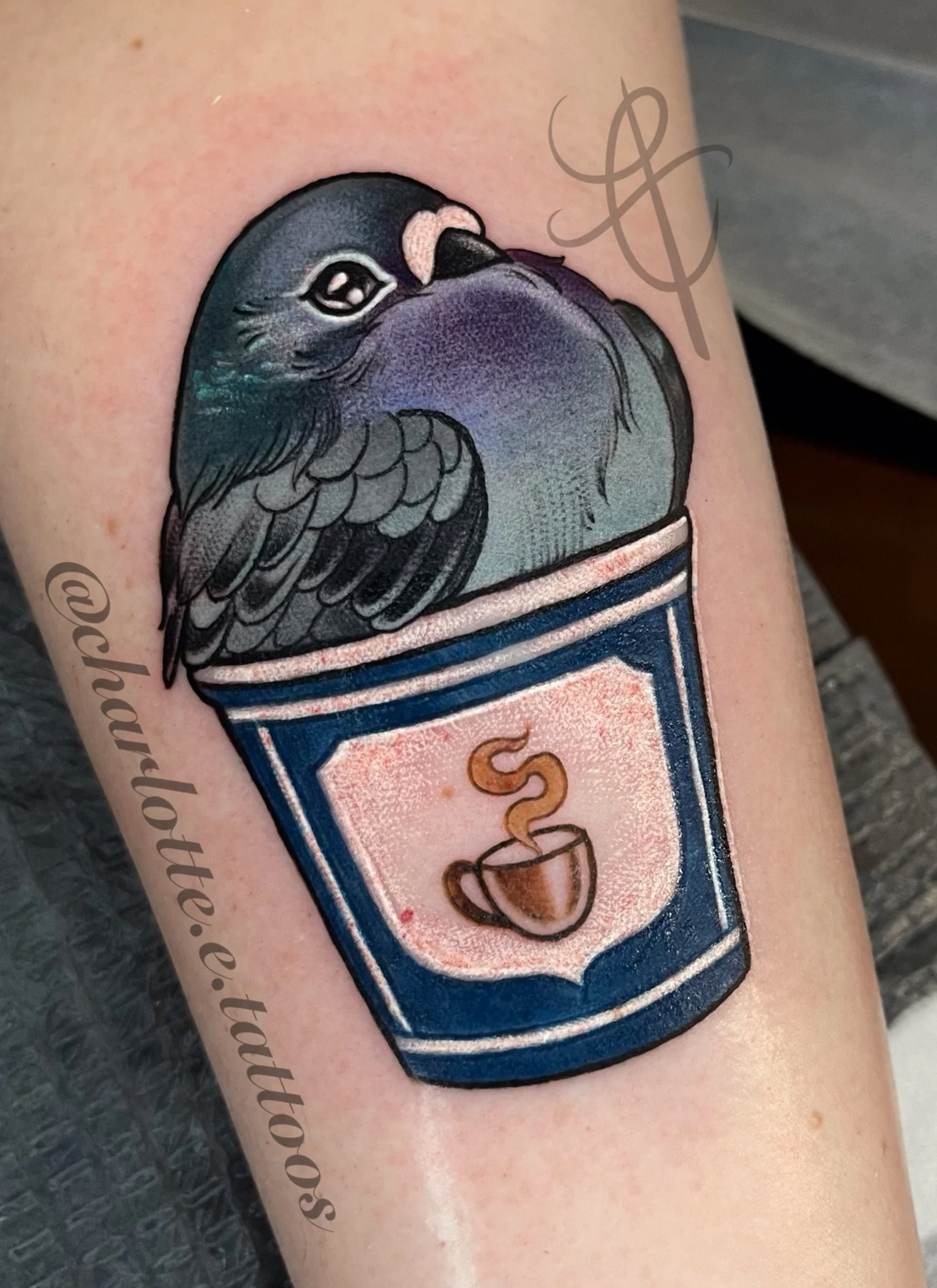 Neo-traditional, color, pigeon in a classic NYC coffee cup tattoo made by Charlotte Timmons. 
