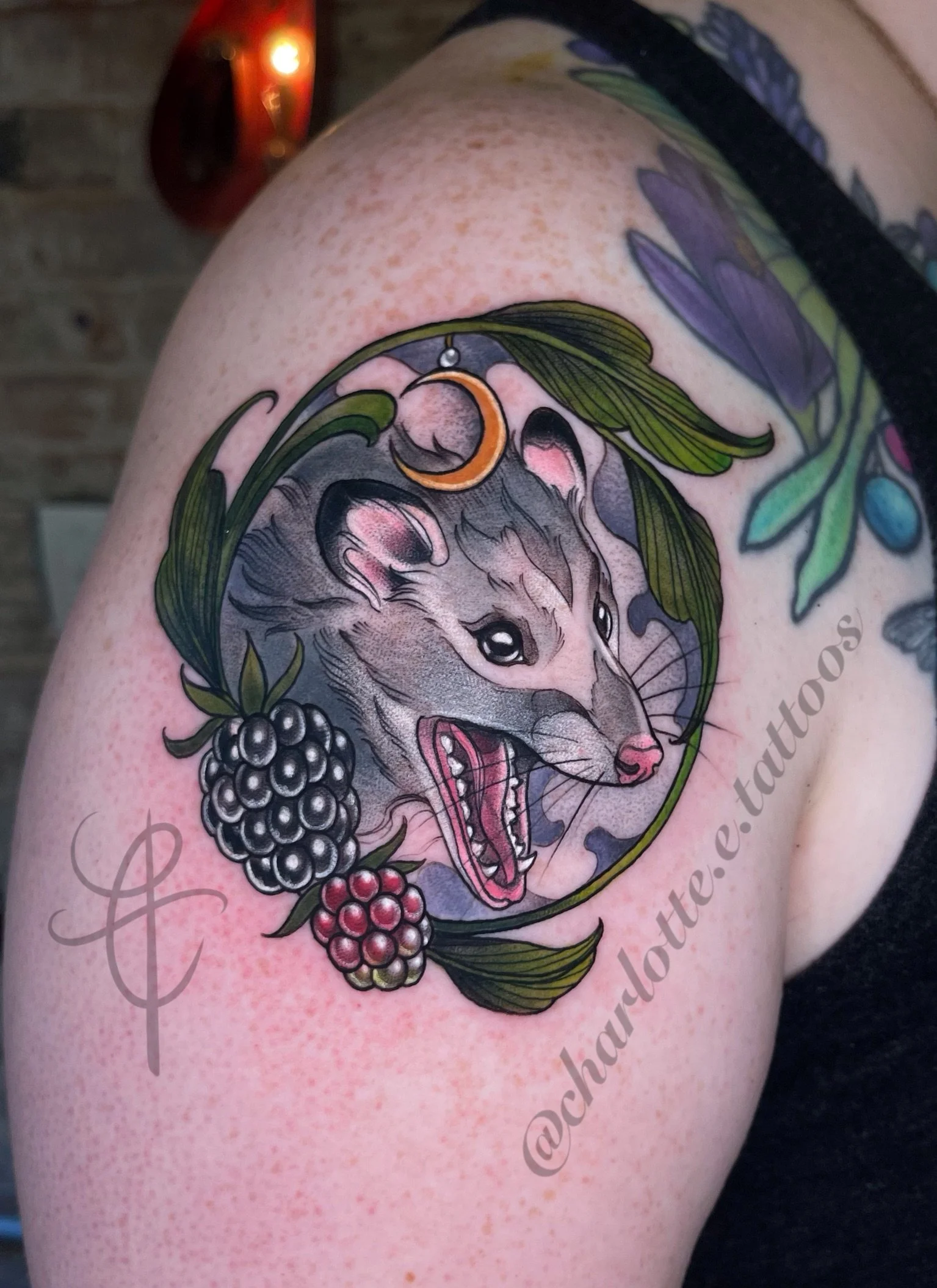 Neo-traditional opossum tattoo with blackberries and raspberries made by Charlotte Timmons. 