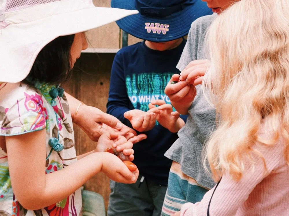 WALDORF WAYS, The Waldorf School of San Diego