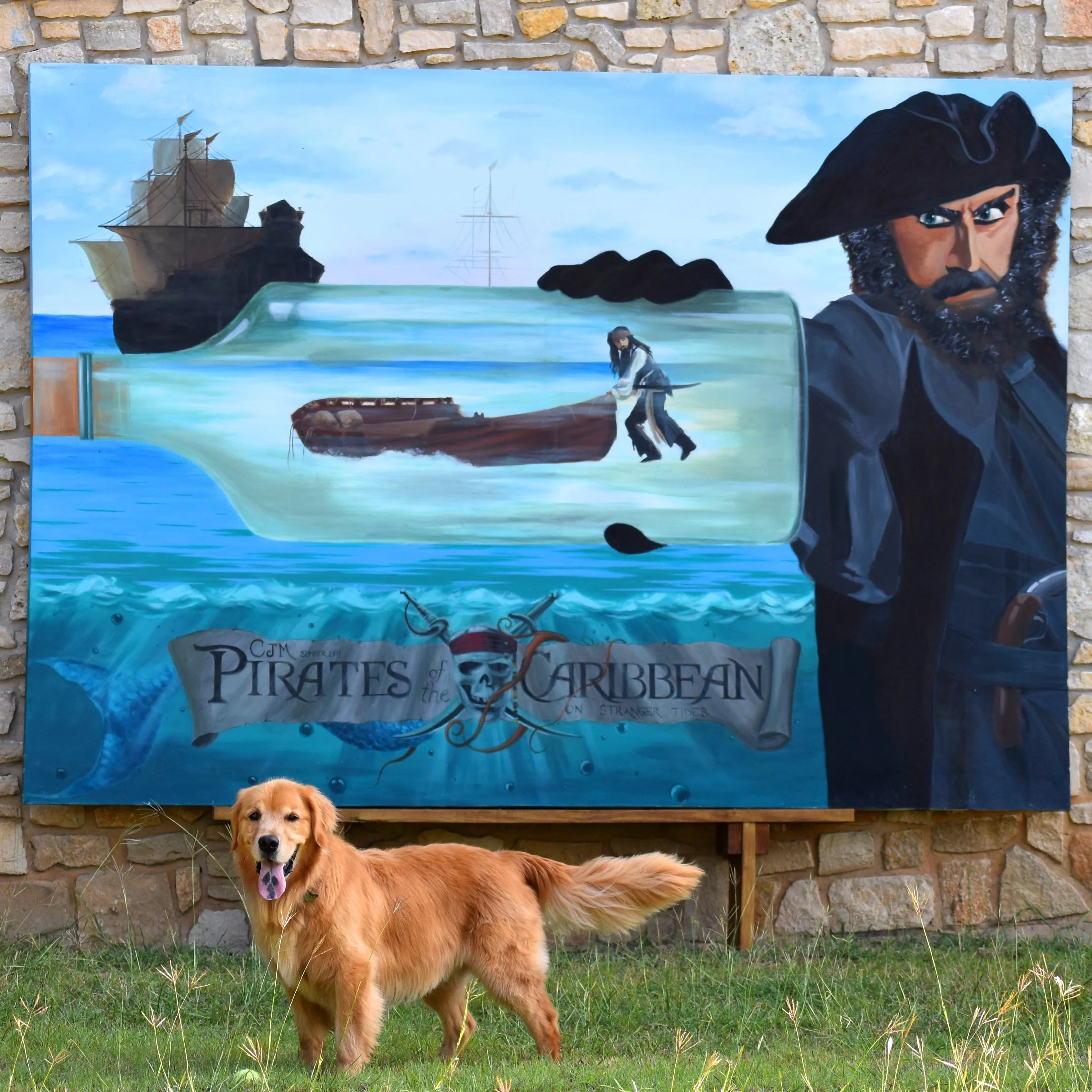 CJM Canvas for Party Night, 7x9'