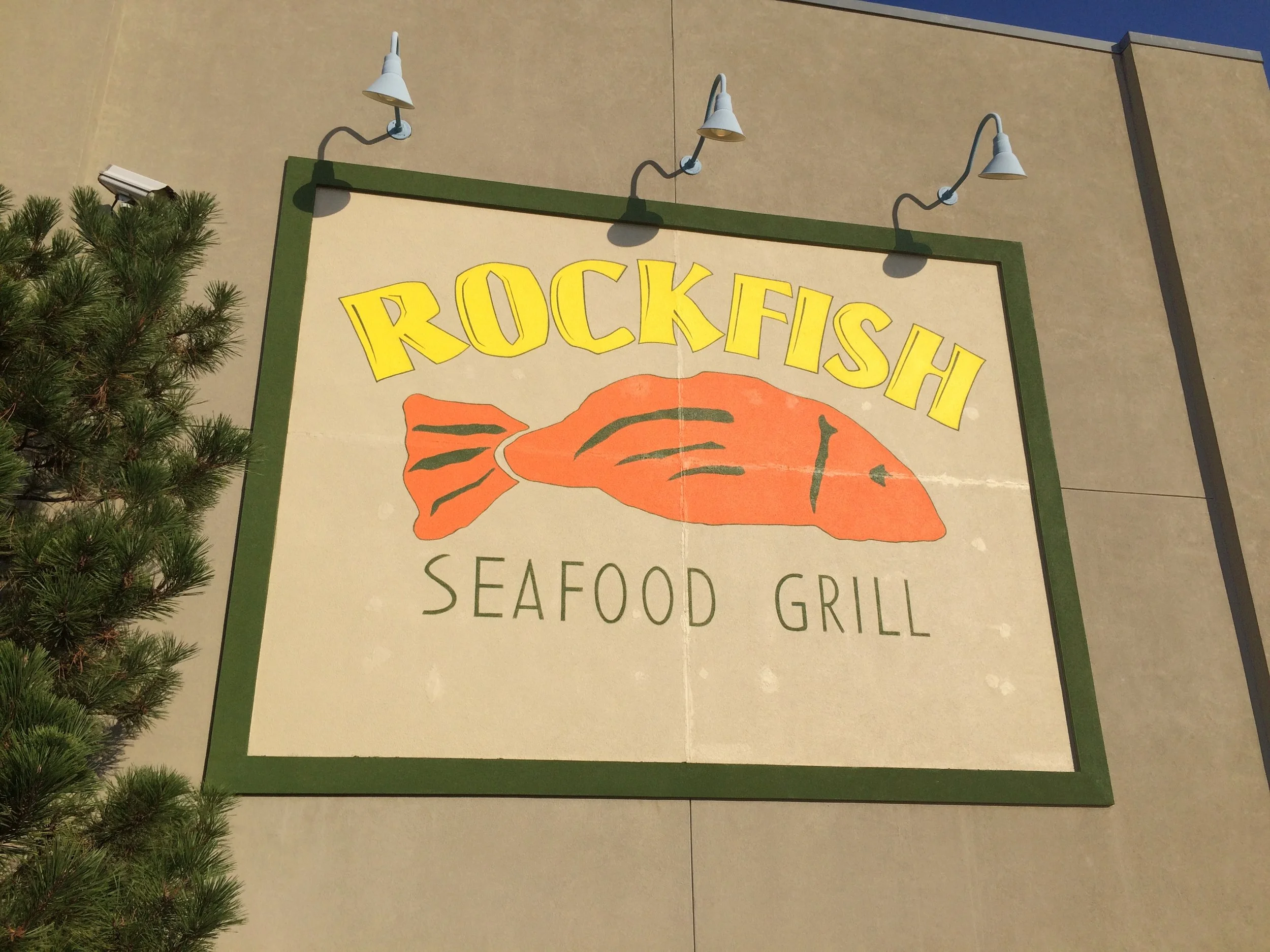 Rockfish Seafood Grill Logo, Arlington, TX