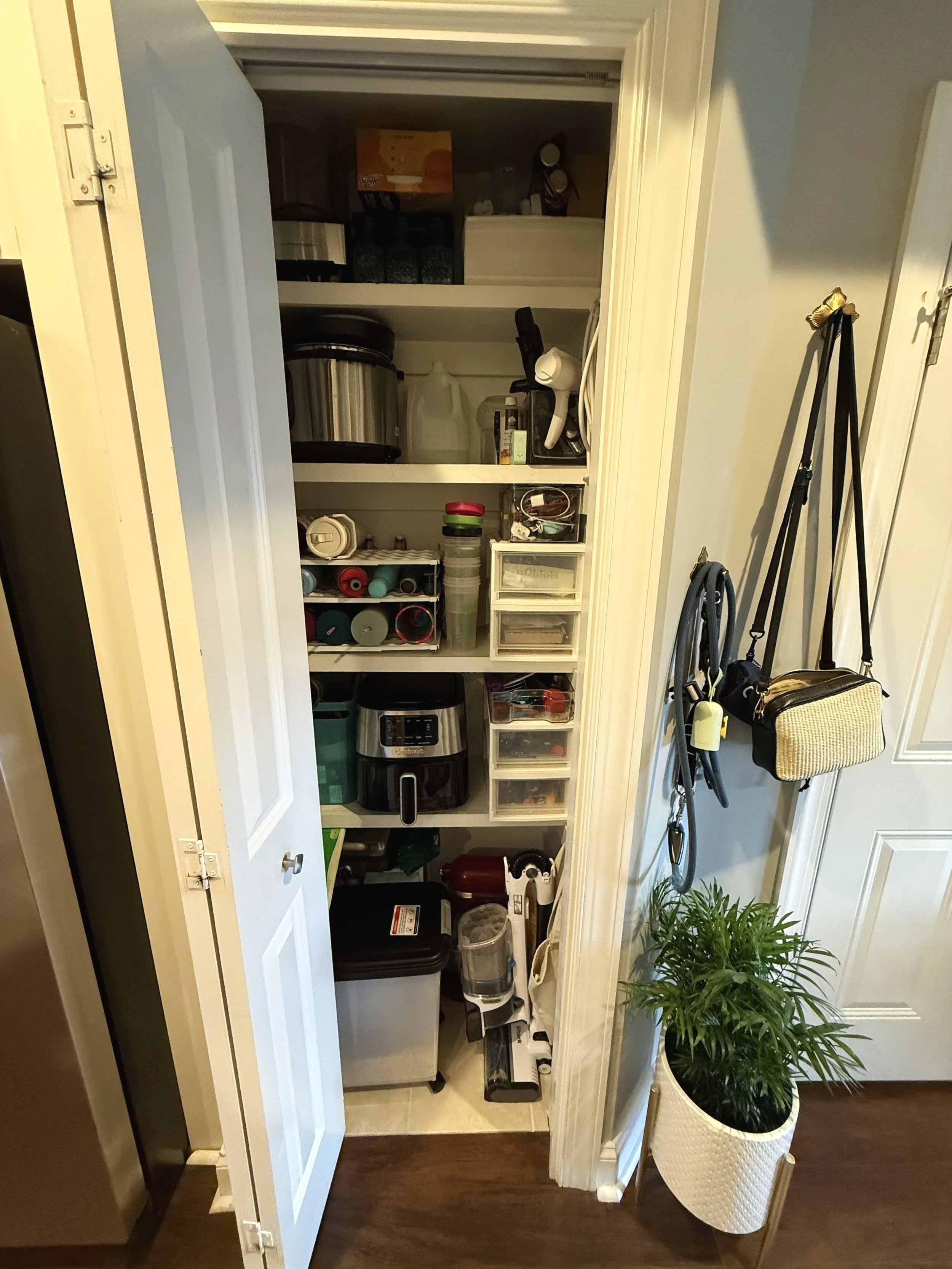 Pantry closet filled with various kitchen items, containers, and a water filter, next to a hallway with a green potted plant, and organized storage drawers.