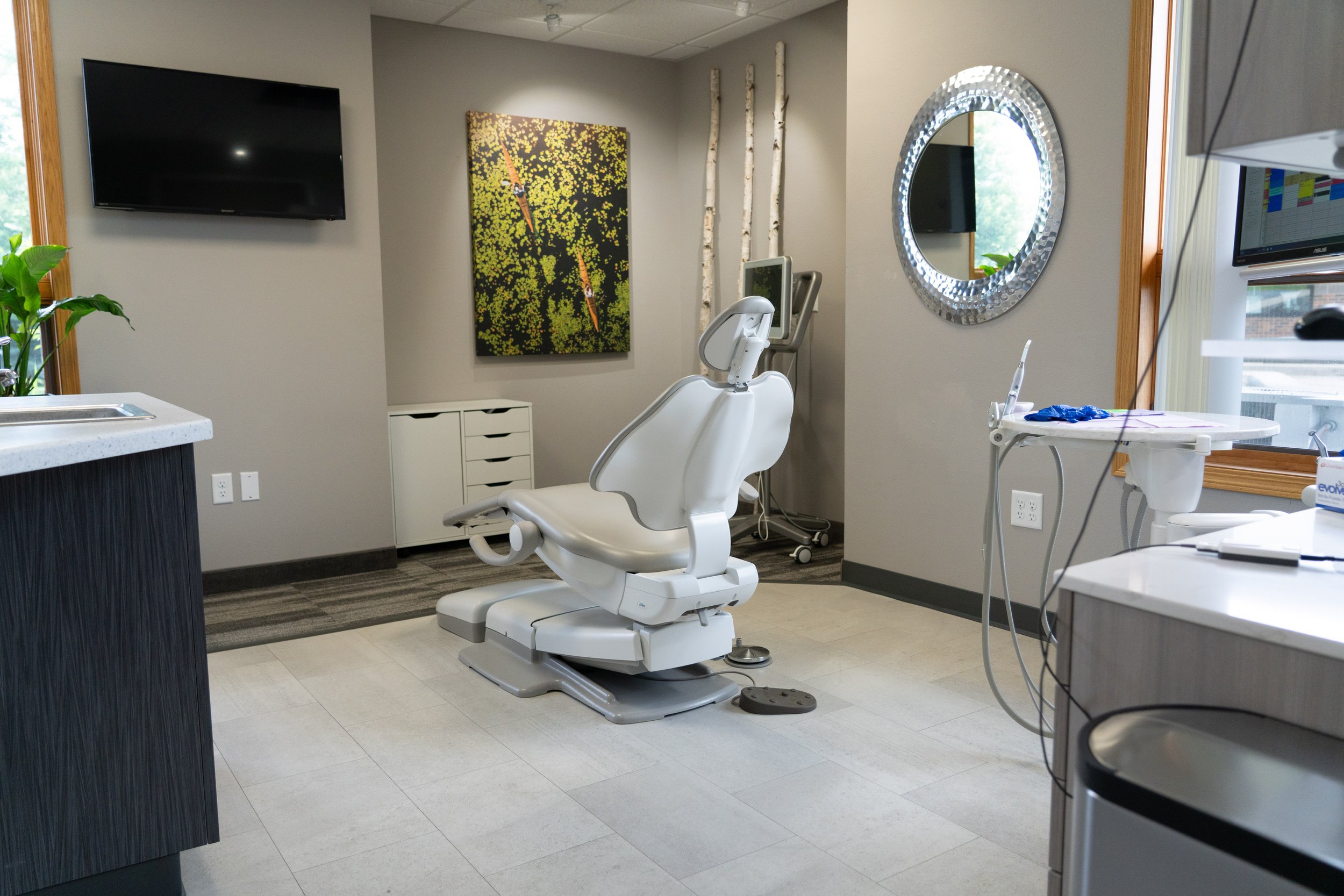 A dental examination room with a dental chair, a mirror, a computer screen, a TV on the wall, plants, and decorations including birch tree branches.