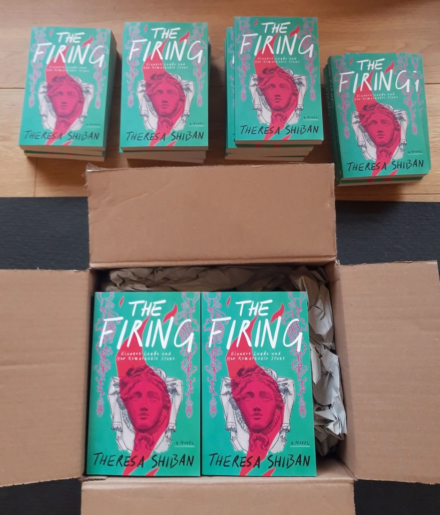 Multiple copies of 'The Firing' by Theresa Shiban at an unboxing.