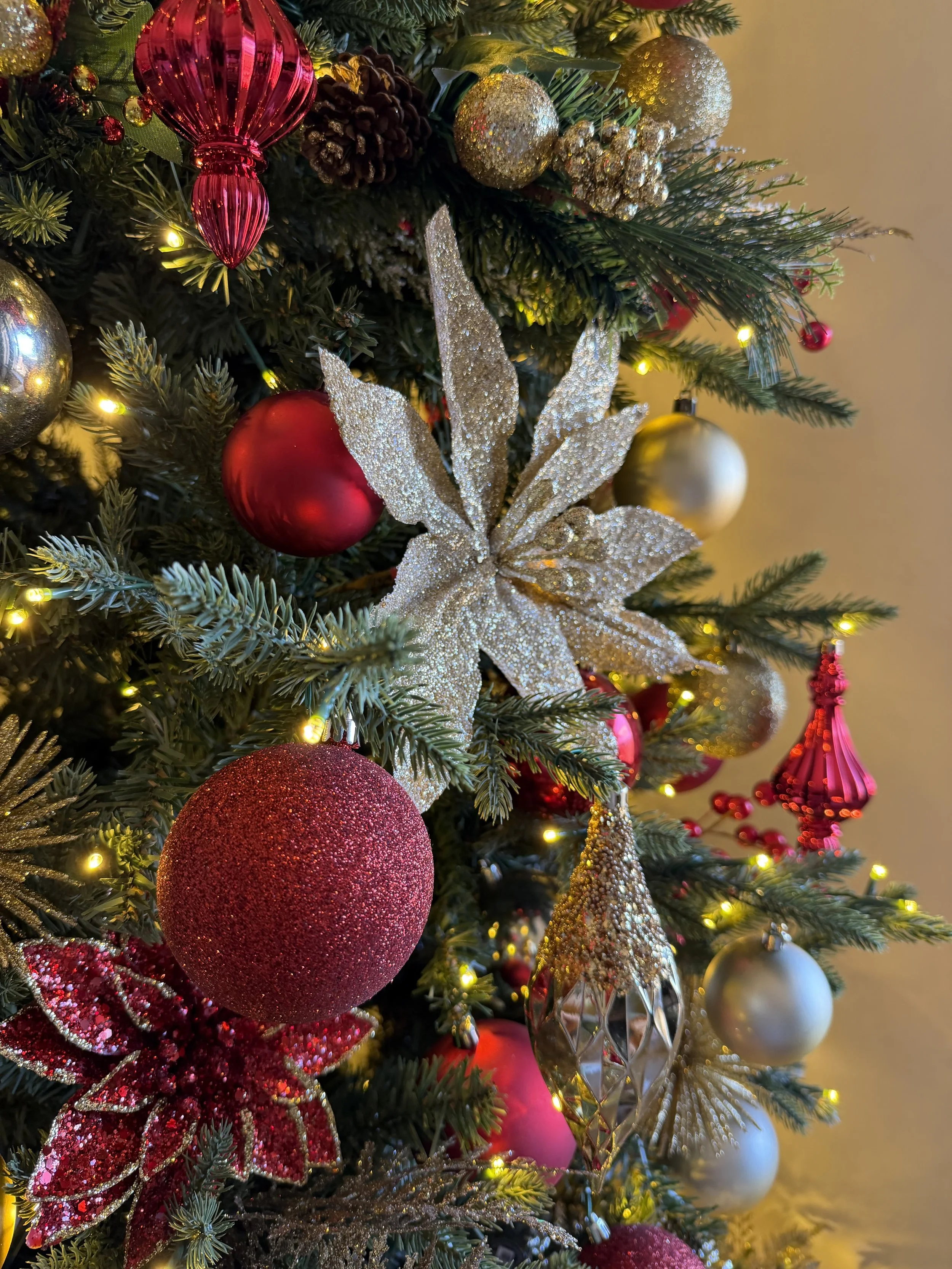 closeup of tree 1.jpg