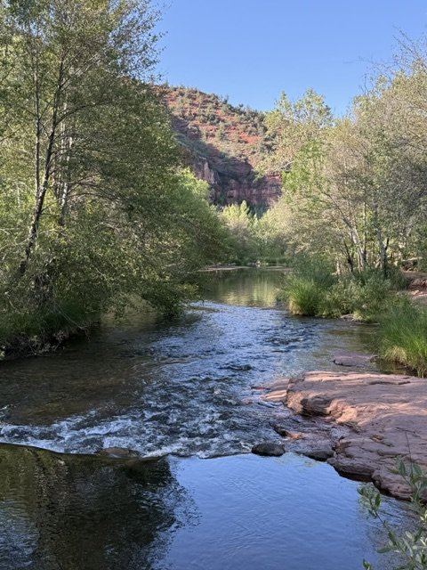 A river flowing through a lush green forest with hills in the background under a clear blue sky.