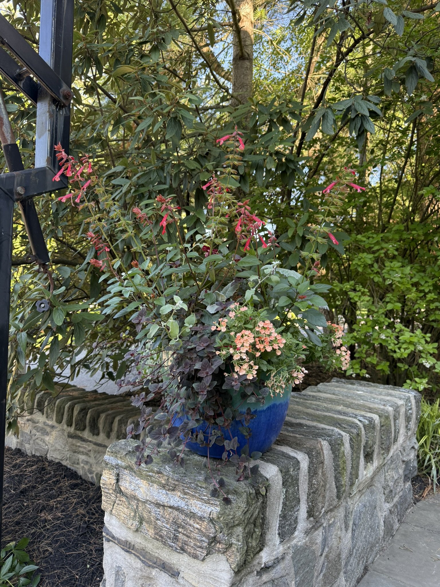 Container Gardens