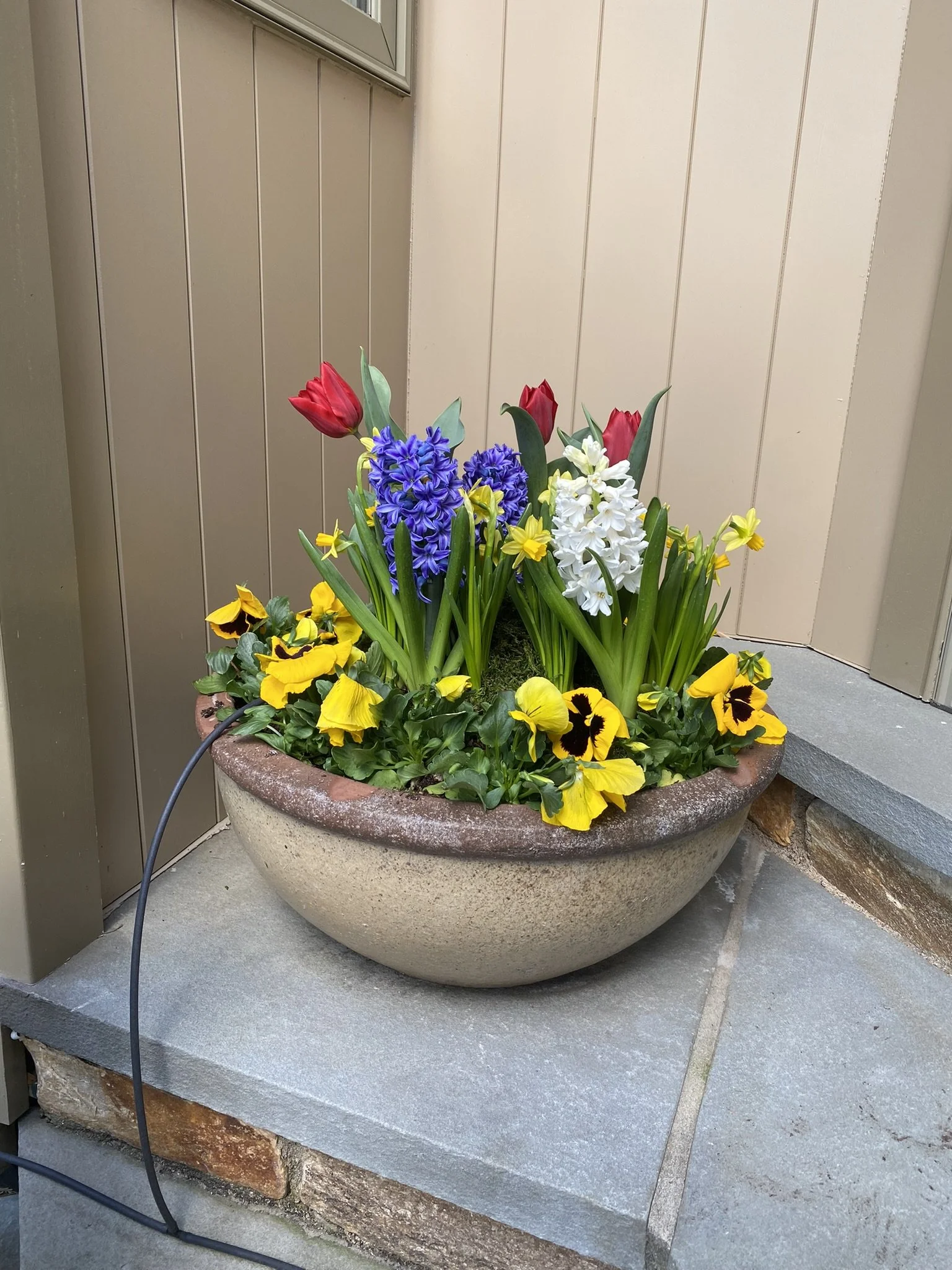 IMG_0950.JPEG