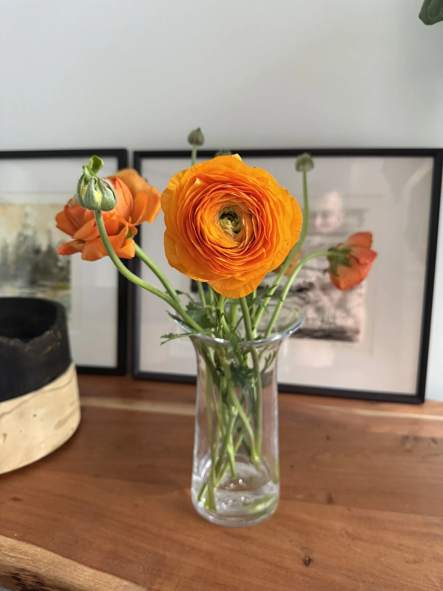 IMG_0155.JPEG