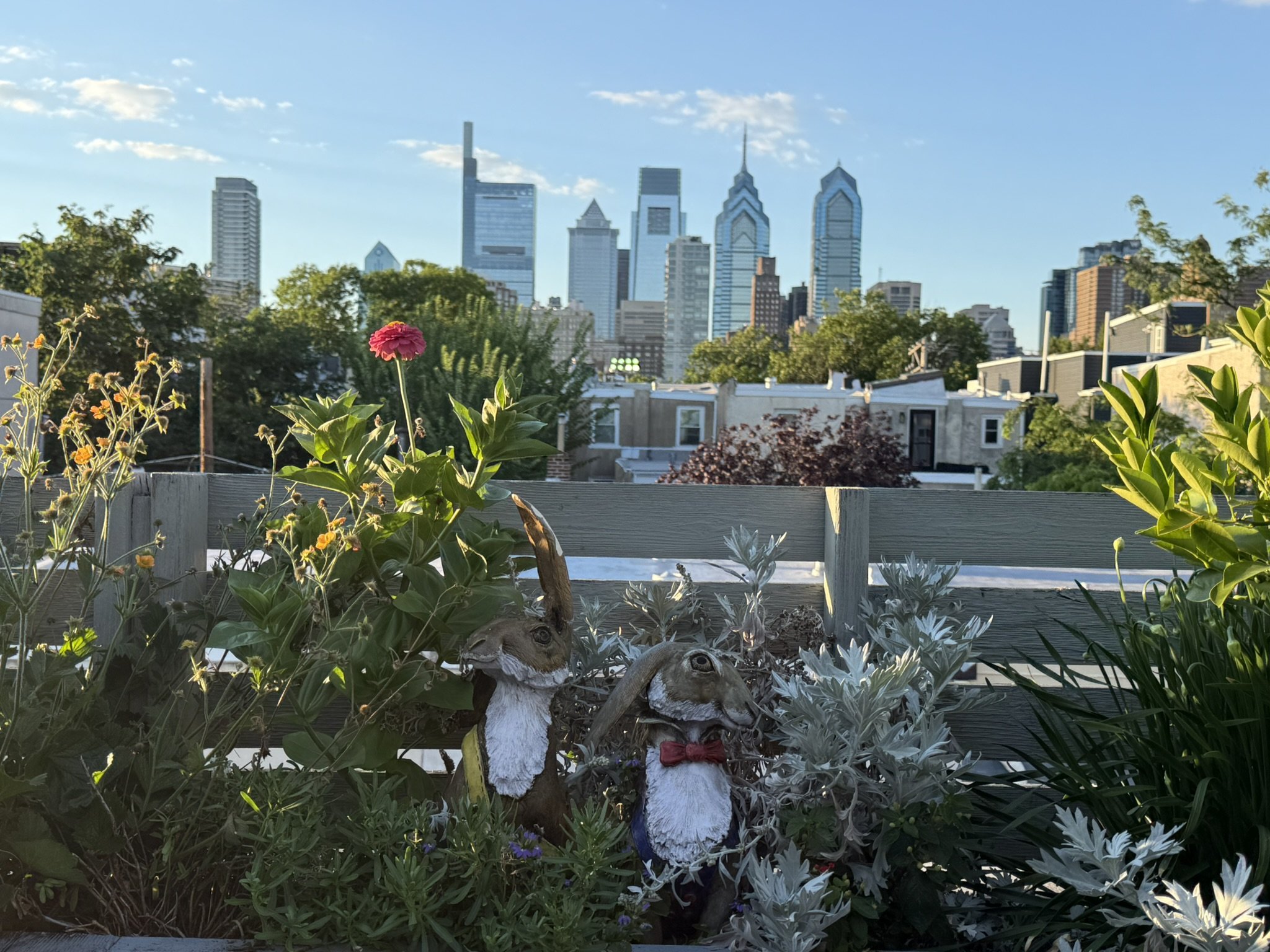 City Gardening
