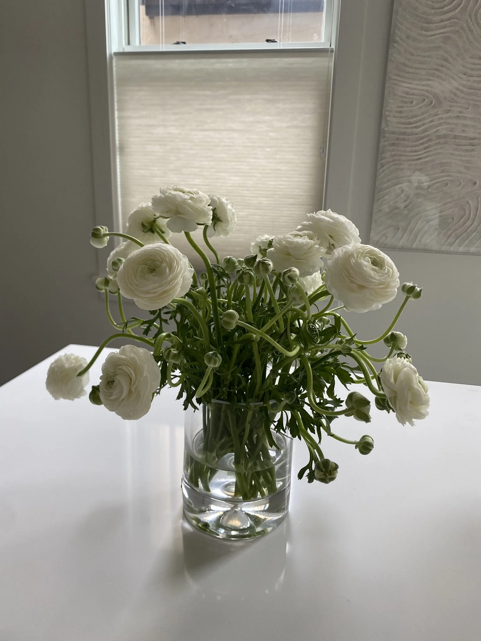 IMG_7892.JPEG