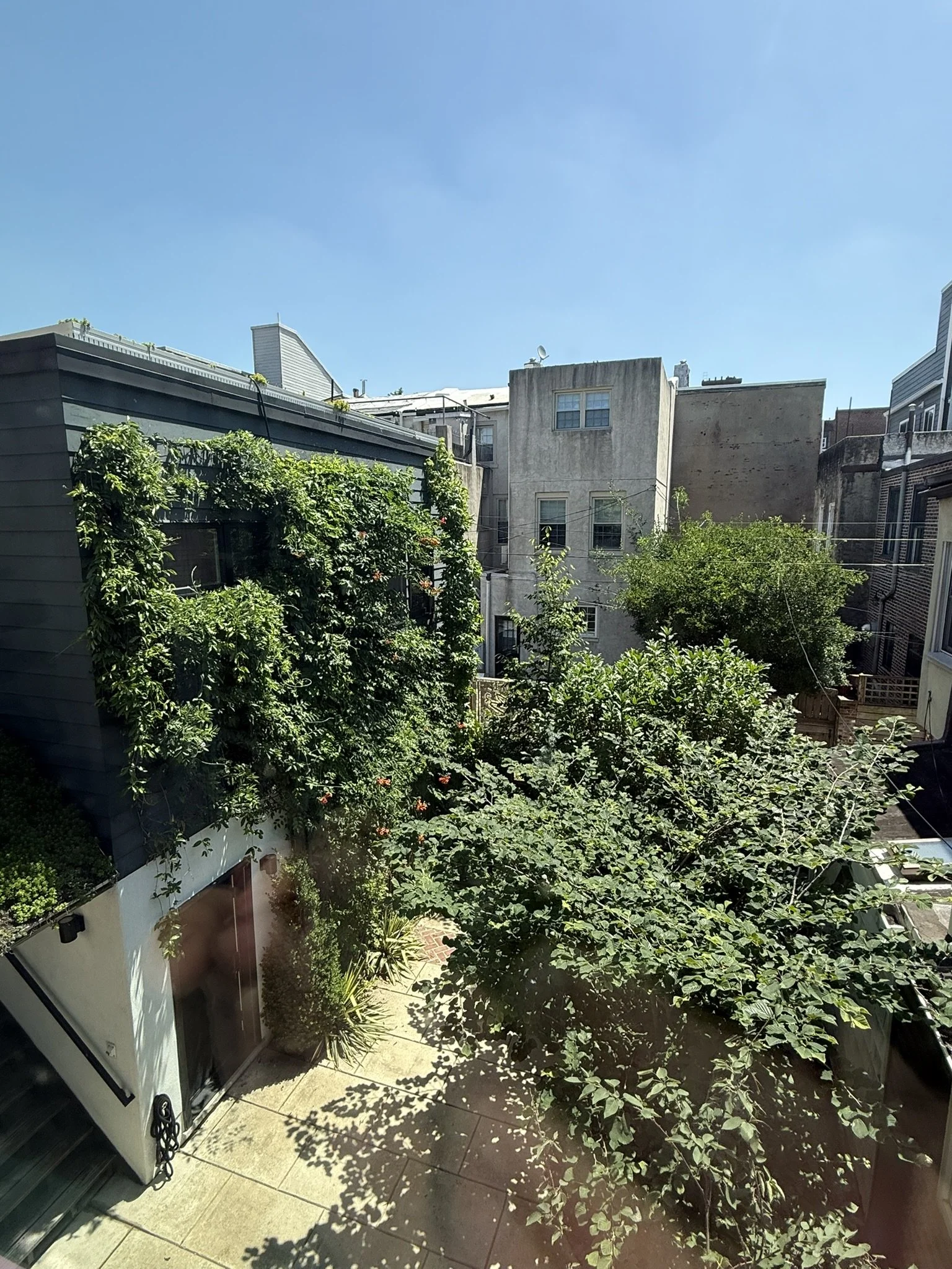 IMG_4431.JPEG
