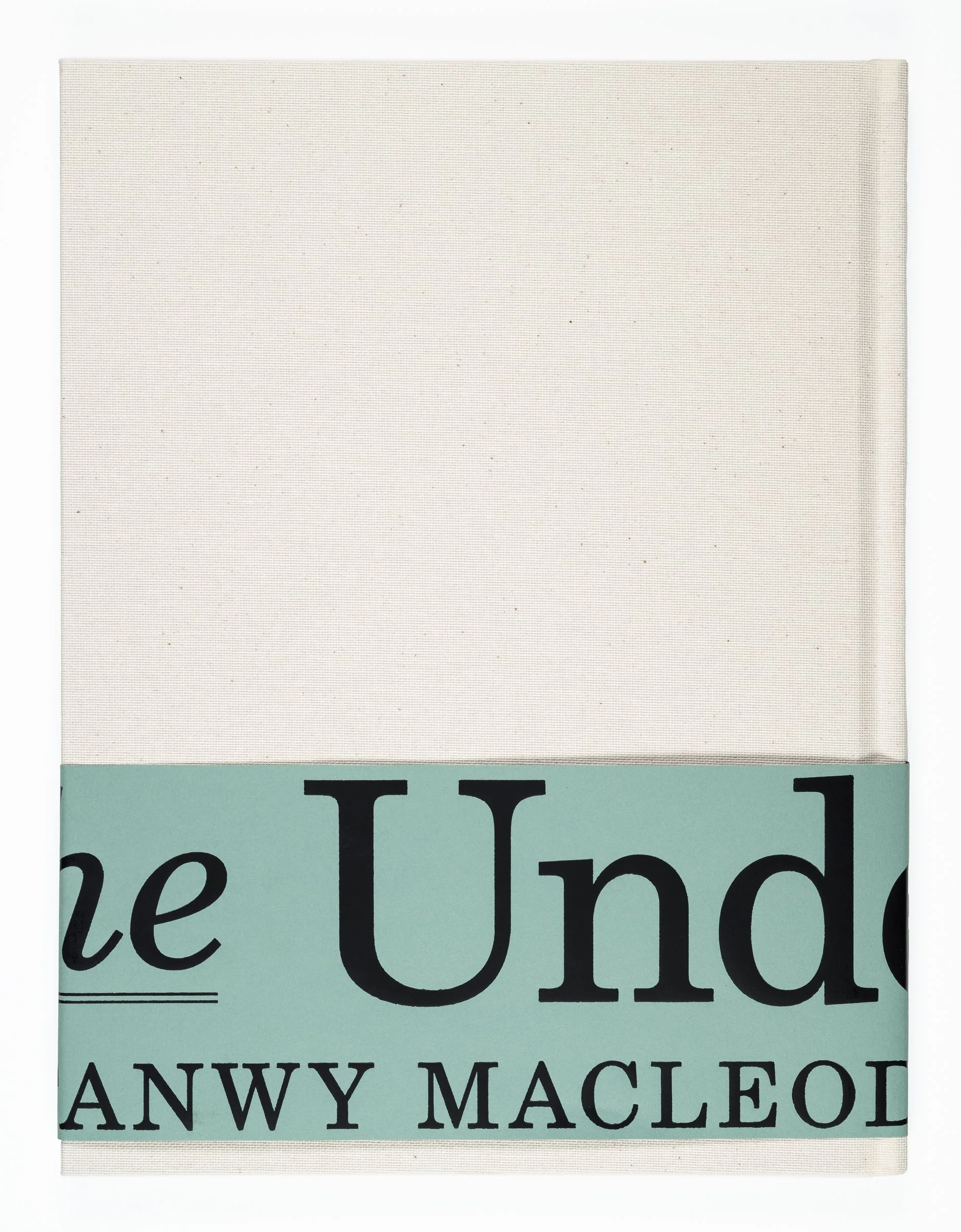 A book cover with a minimalist design. The upper part is plain white, and the lower part is light blue with large black letters spelling 'the United' and smaller black letters spelling 'ANY WY MACLEOD'.