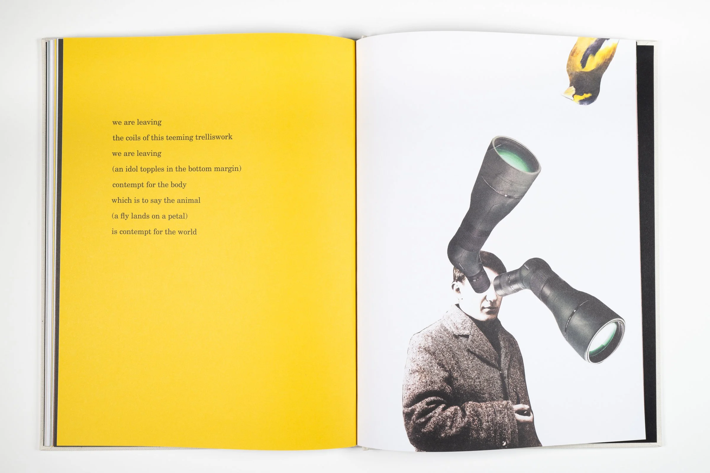 Open book with yellow left page containing poem and black right page featuring a black and white photograph of a person holding a telescope to their eye.