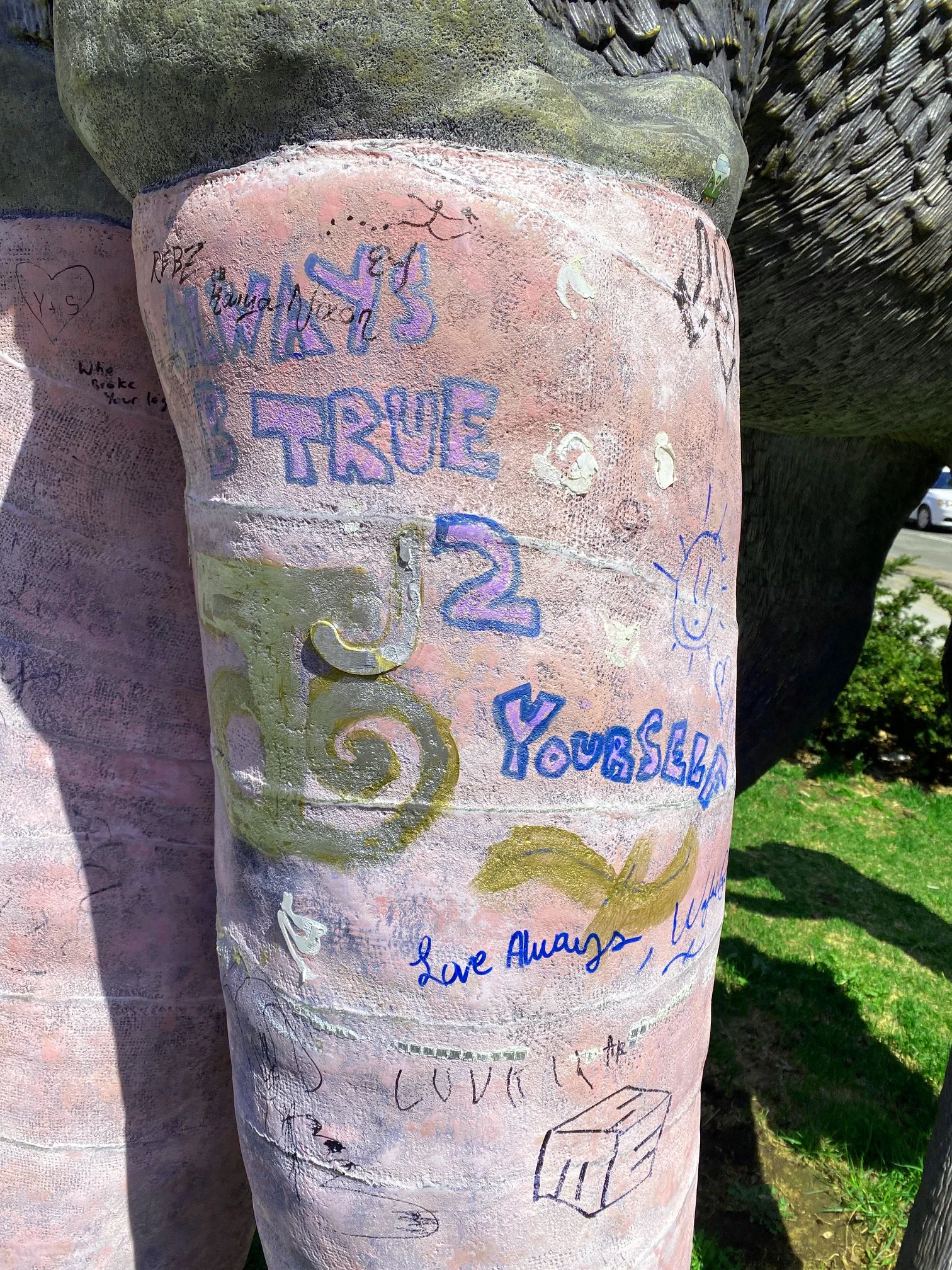 A post covered with various handwritten notes, drawings, and messages in different colors, including words like 'True', 'Love Always', and drawings such as a cube and a smiley face. The background shows a tree and some grass.