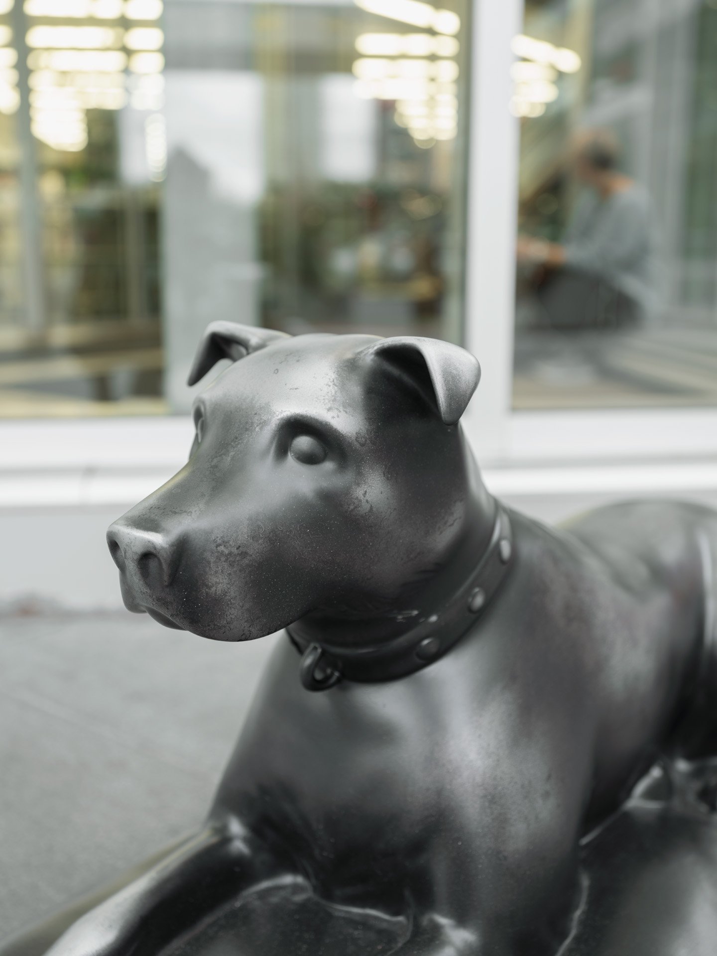 Close-up of a metallic dog sculpture with a collar, placed near a window with blurred background of a building and a person sitting inside.