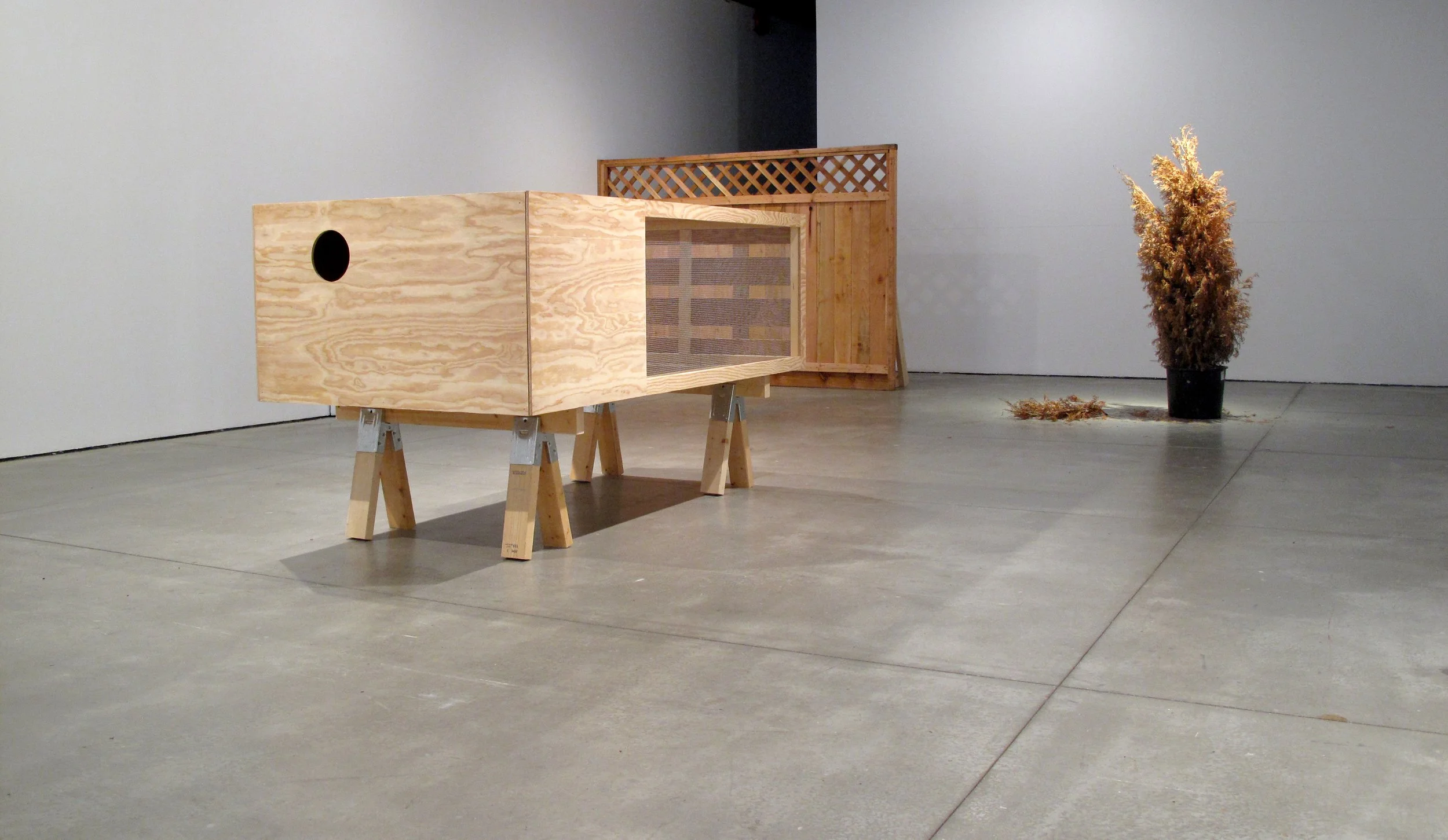 Contemporary art installation on a concrete floor, including a large rectangular box with a circular hole and a window, a wooden lattice panel, and a potted dried tree with a lattice fence behind it.