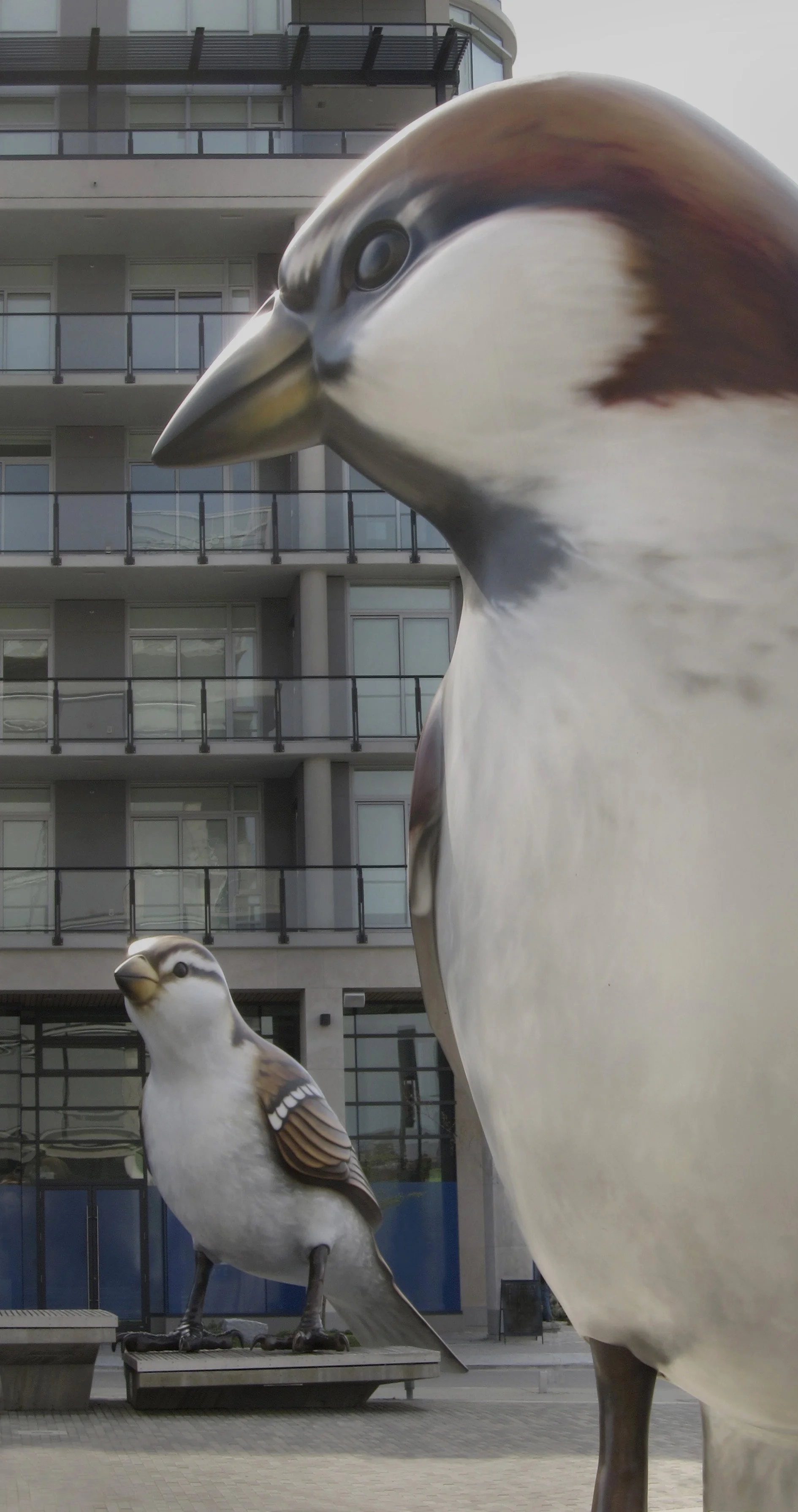 Close-up view of large bird sculptures resembling birds, set against a modern multi-story building with balconies and glass windows.
