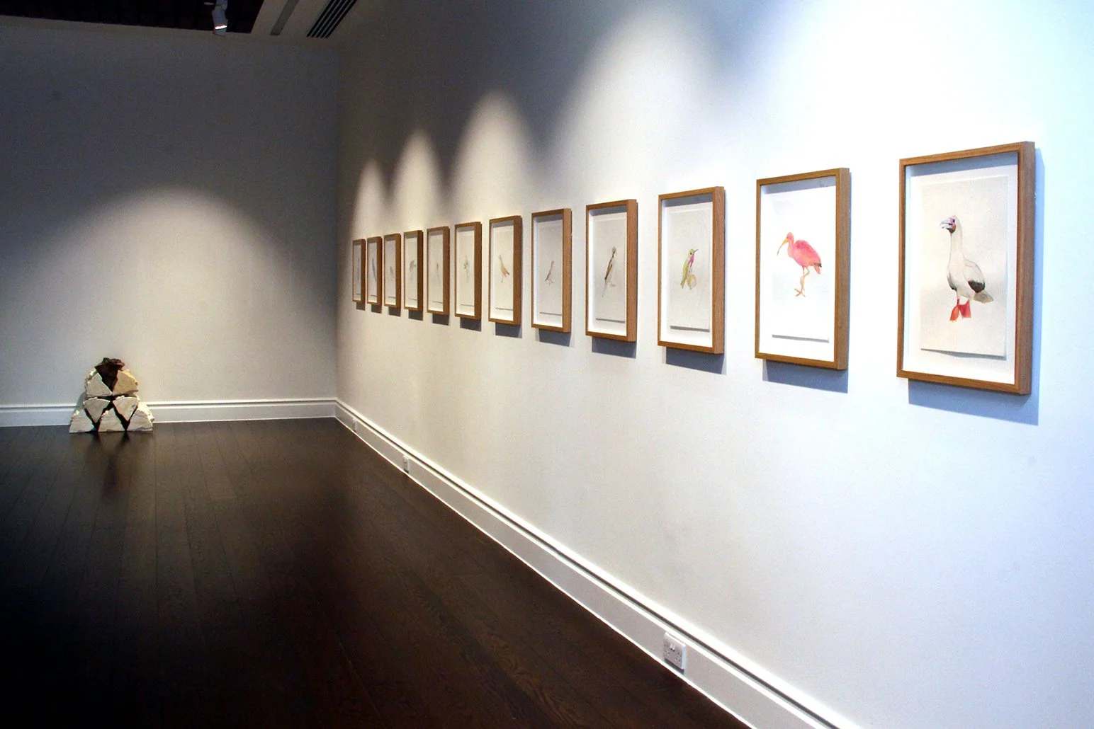 Art gallery with framed bird illustrations on a white wall, dark wooden floor, and a small sculpture of stacked books or materials on the left corner.