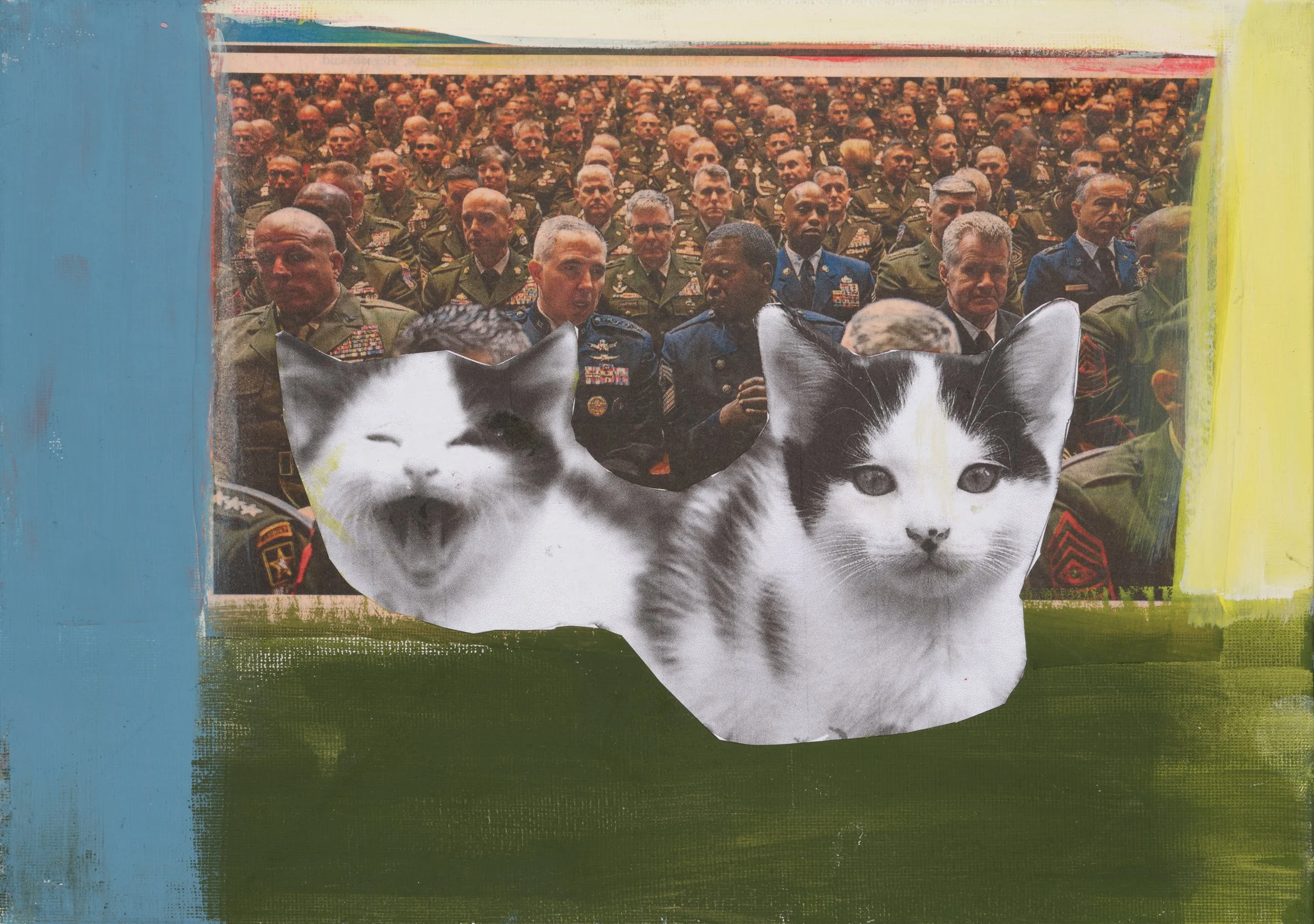 A collage featuring a large photograph of military officers in uniform, with two large, black-and-white cat faces in the foreground, surrounded by blue, yellow, and green sections.