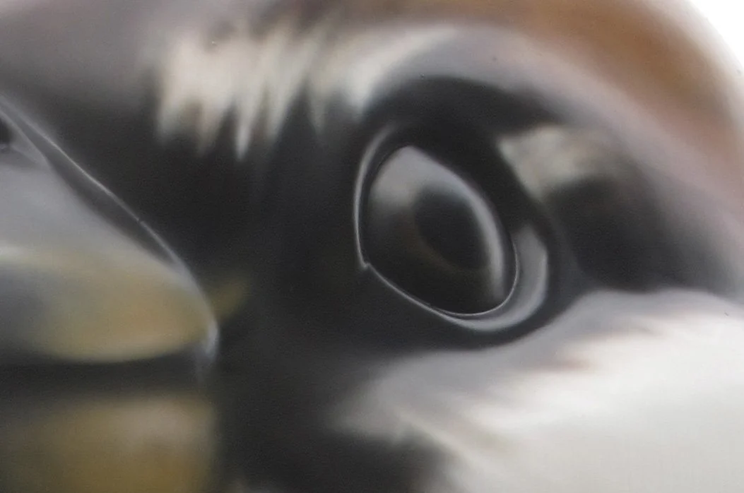 Close-up of a whale's eye with smooth, dark skin.