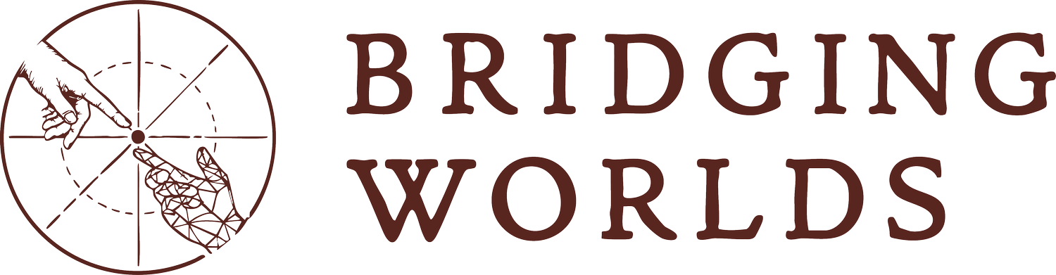 Bridging Worlds
