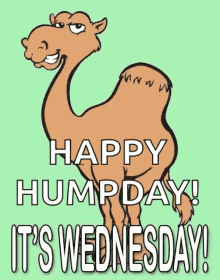 Wednesdays