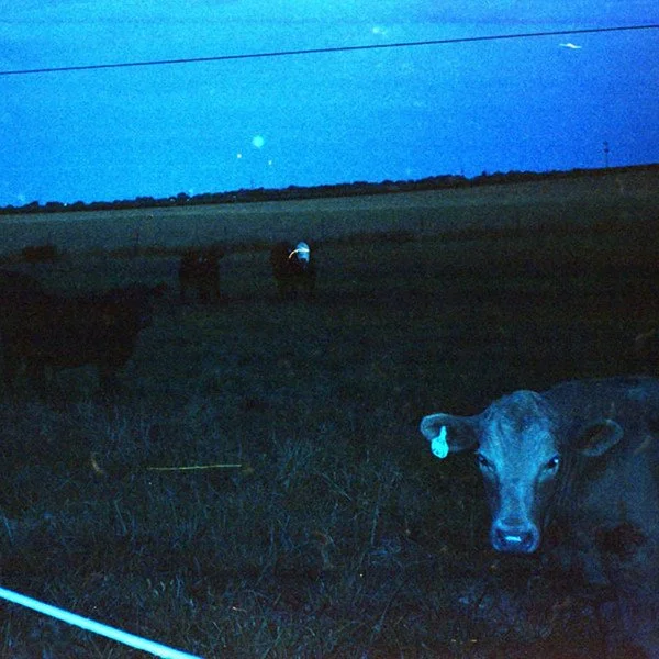 R-27060861-1697542237-9307.jpg