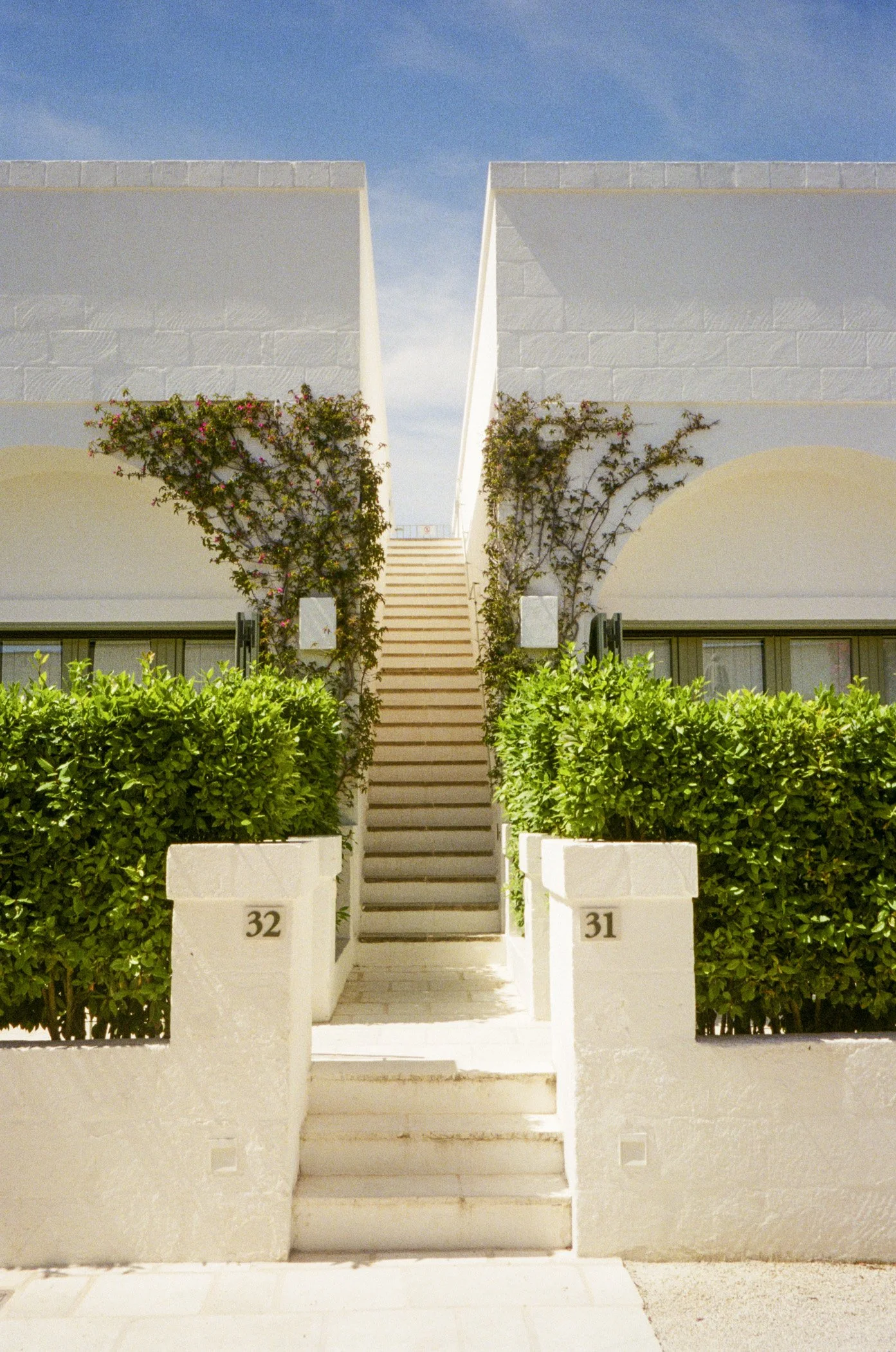 puglia-optimized-2.jpg