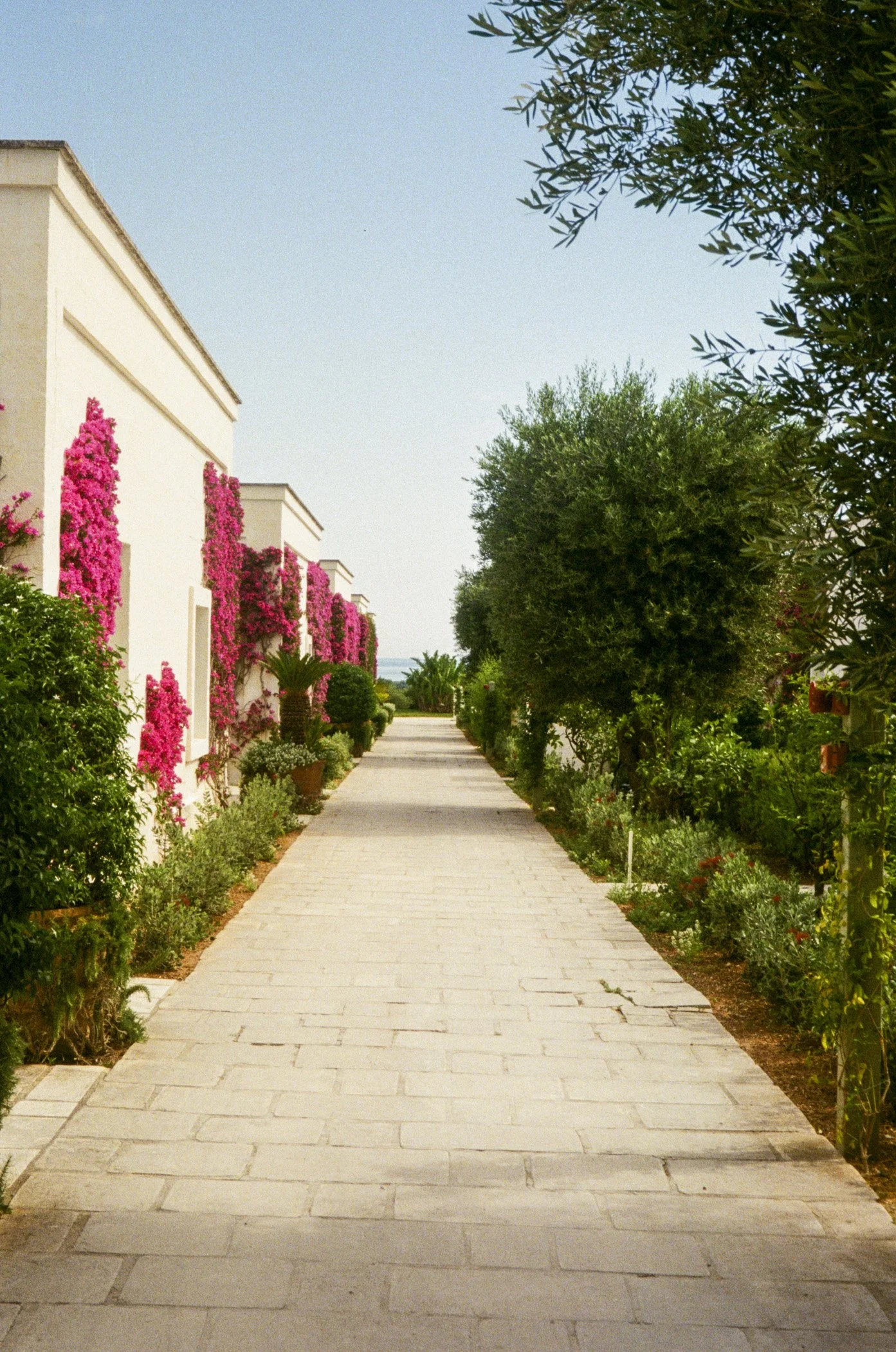 puglia-optimized-1.jpg