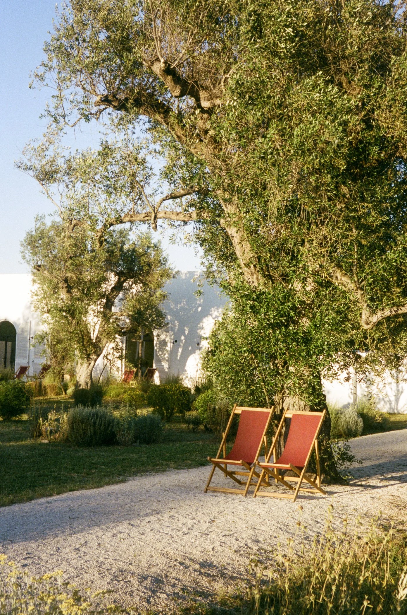 puglia-optimized-19.jpg