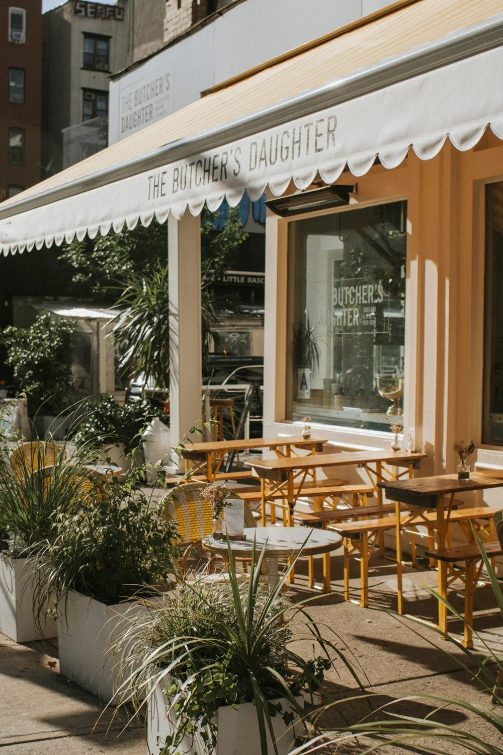 nolita-rebel-daughter-25.jpg