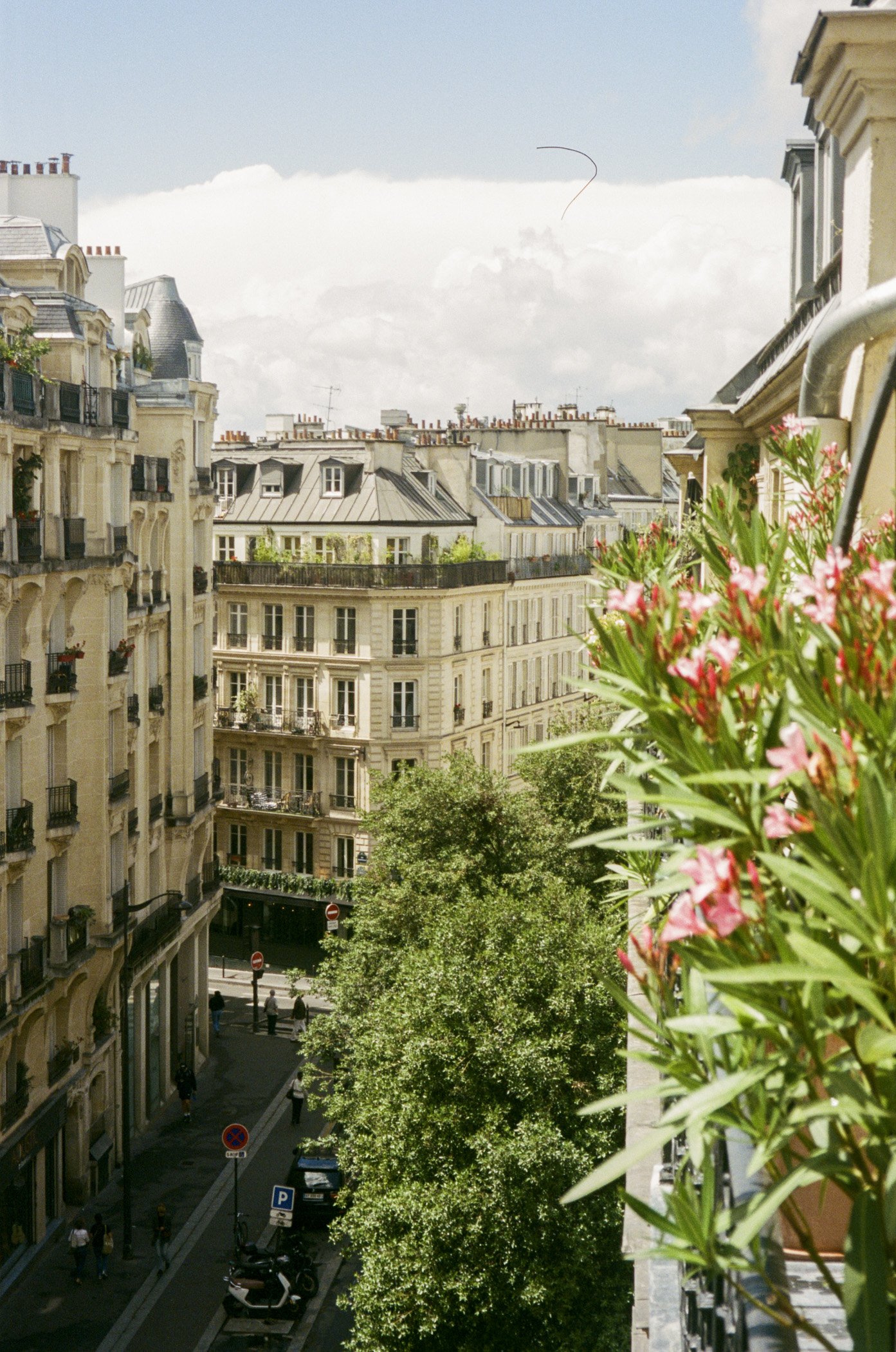 paris-2.jpg