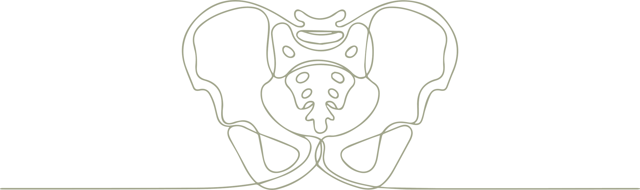 Line drawing of a human pelvis in front view.