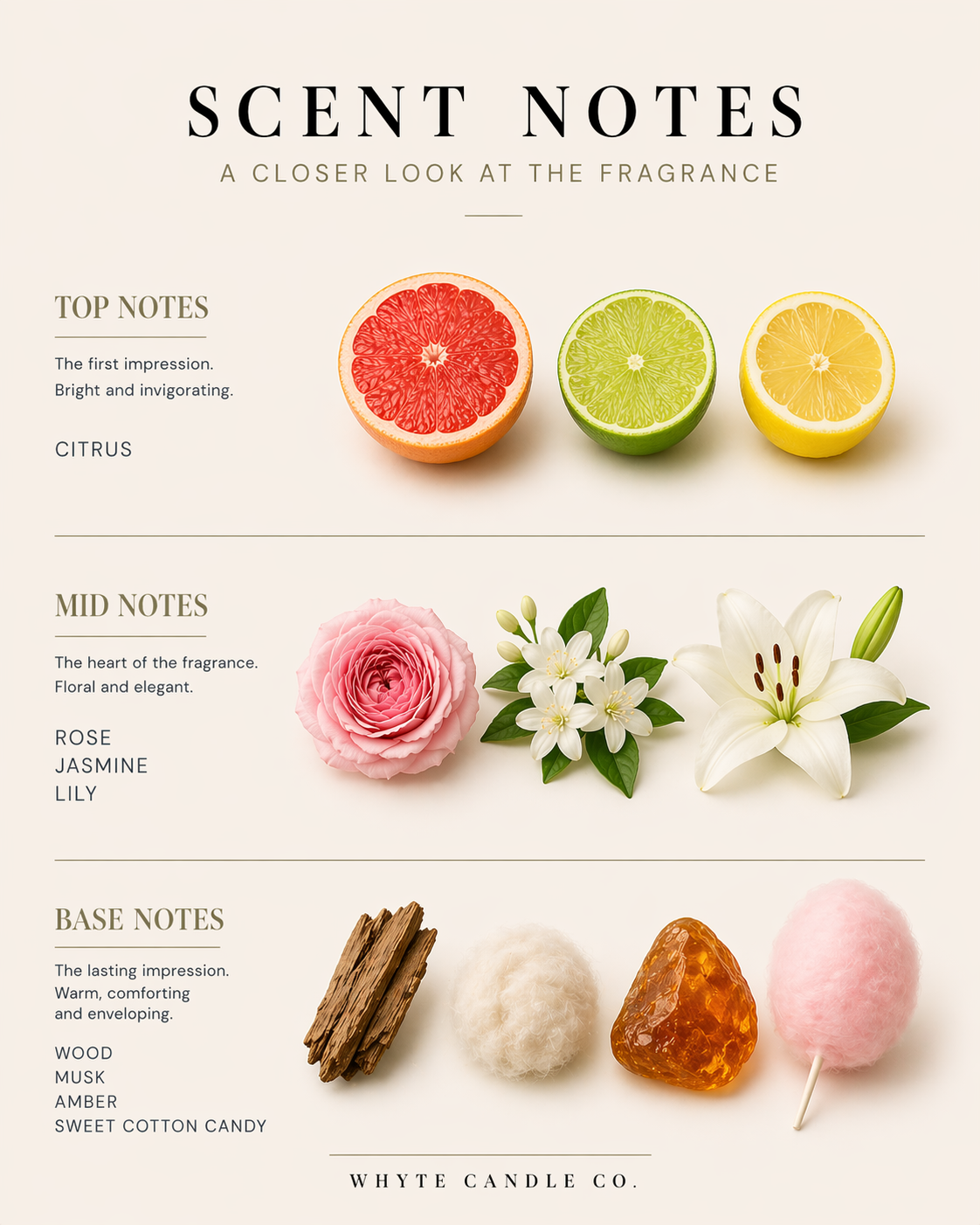 scentnotes-grace3.png