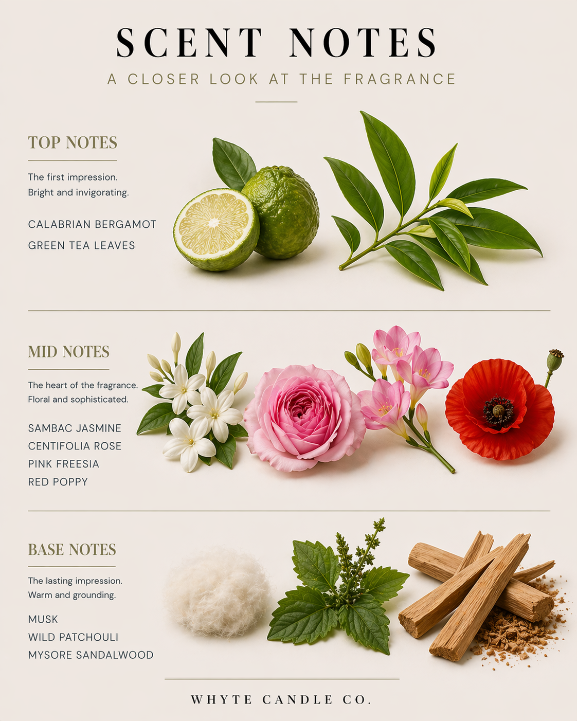 scentnotes-enchanted.png