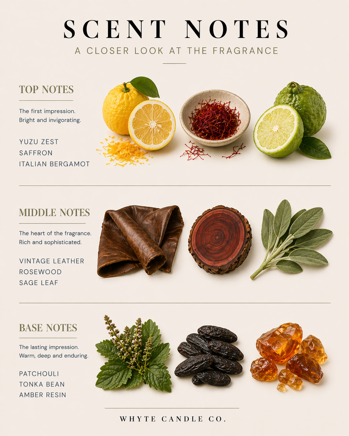 scentnotes-mancave.png