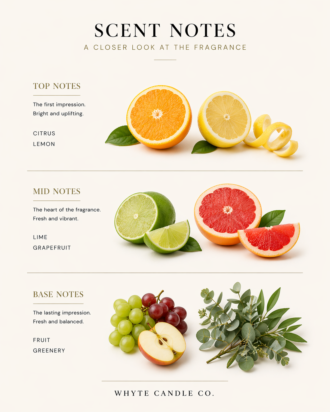scentnotes-blue3.png
