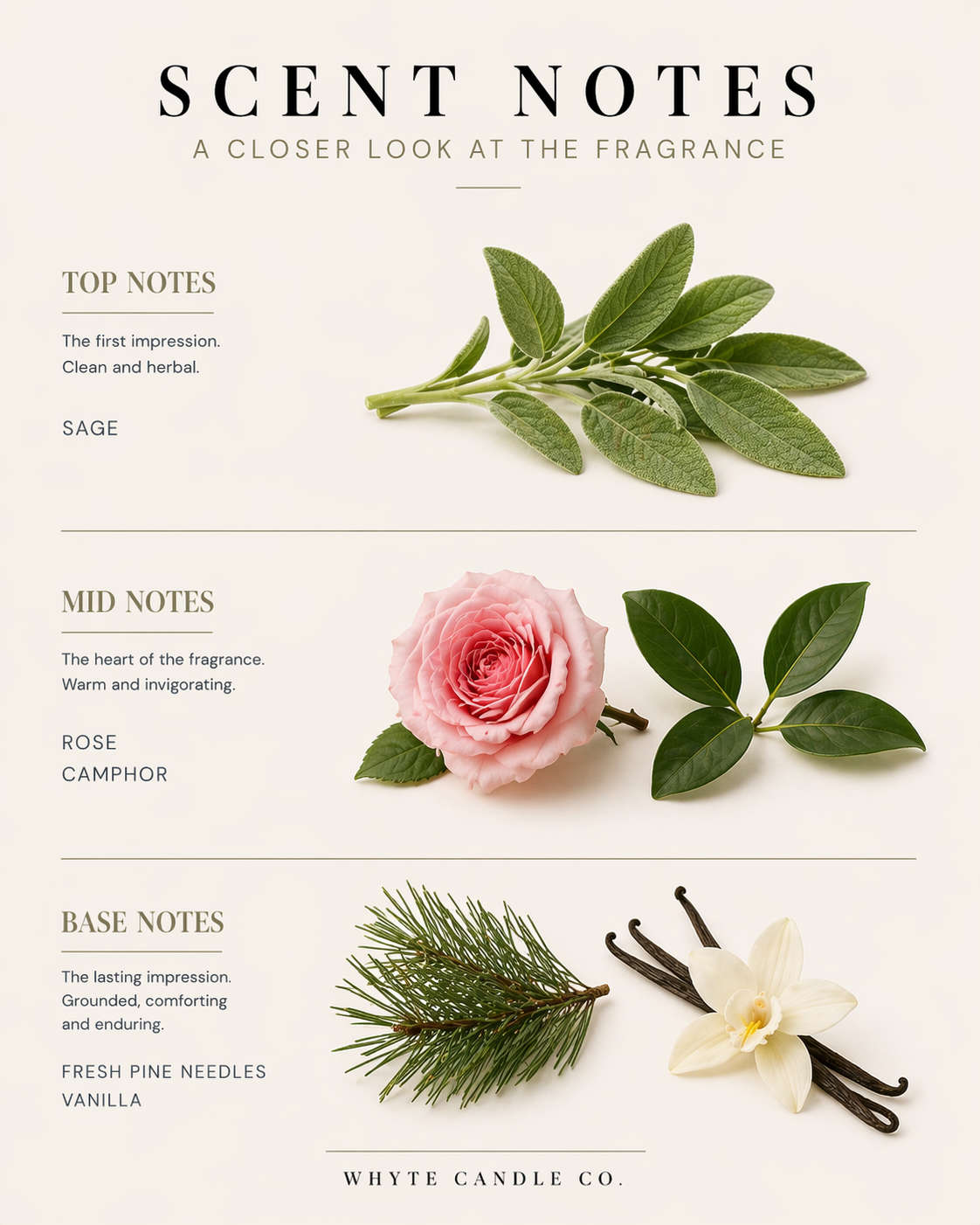scentnotes-sage1.png