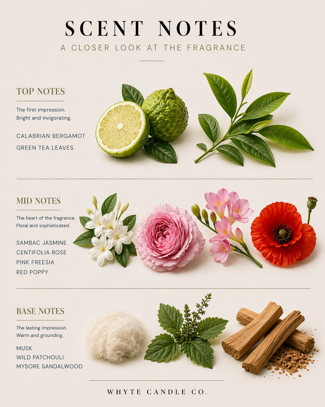 scentnotes-enchatned2.png